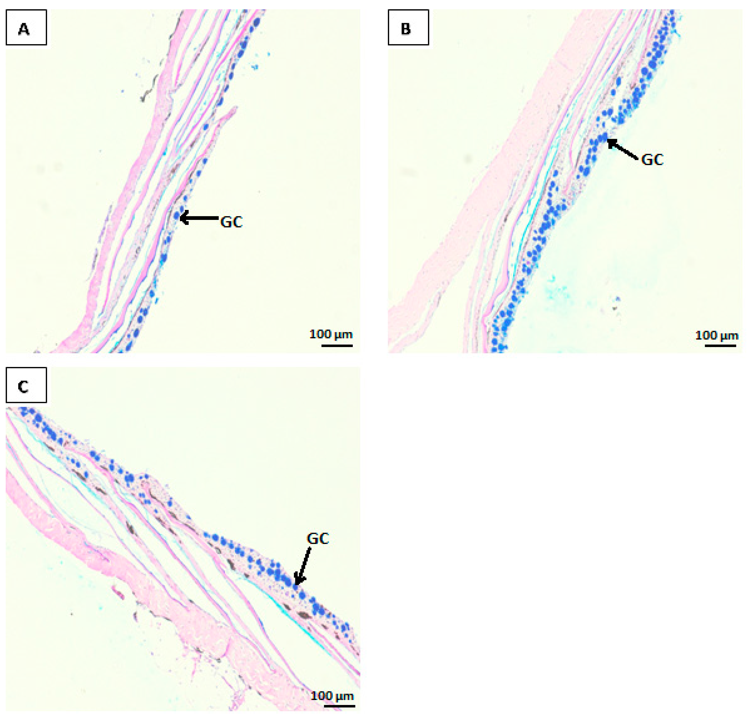 Animals 15 00323 g002