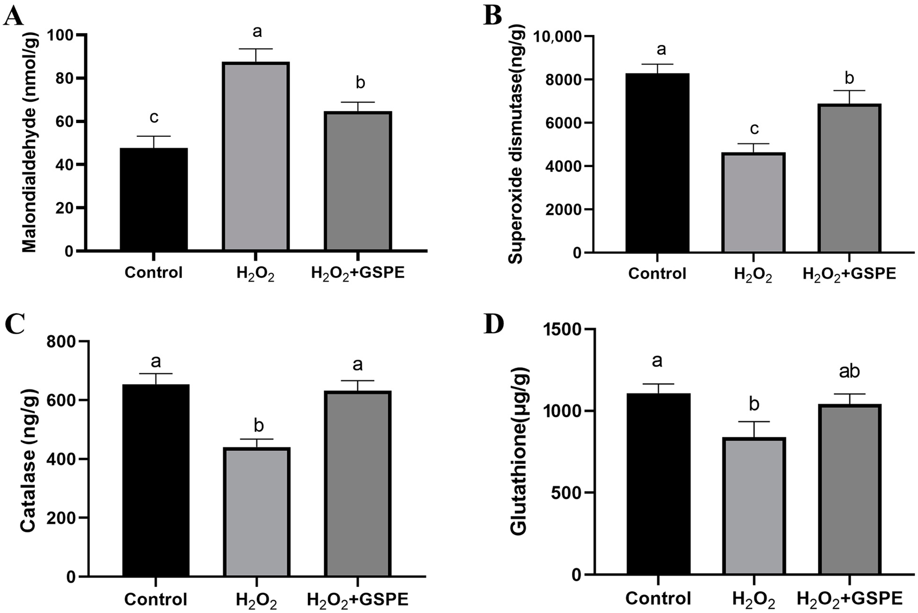 Animals 15 00327 g003