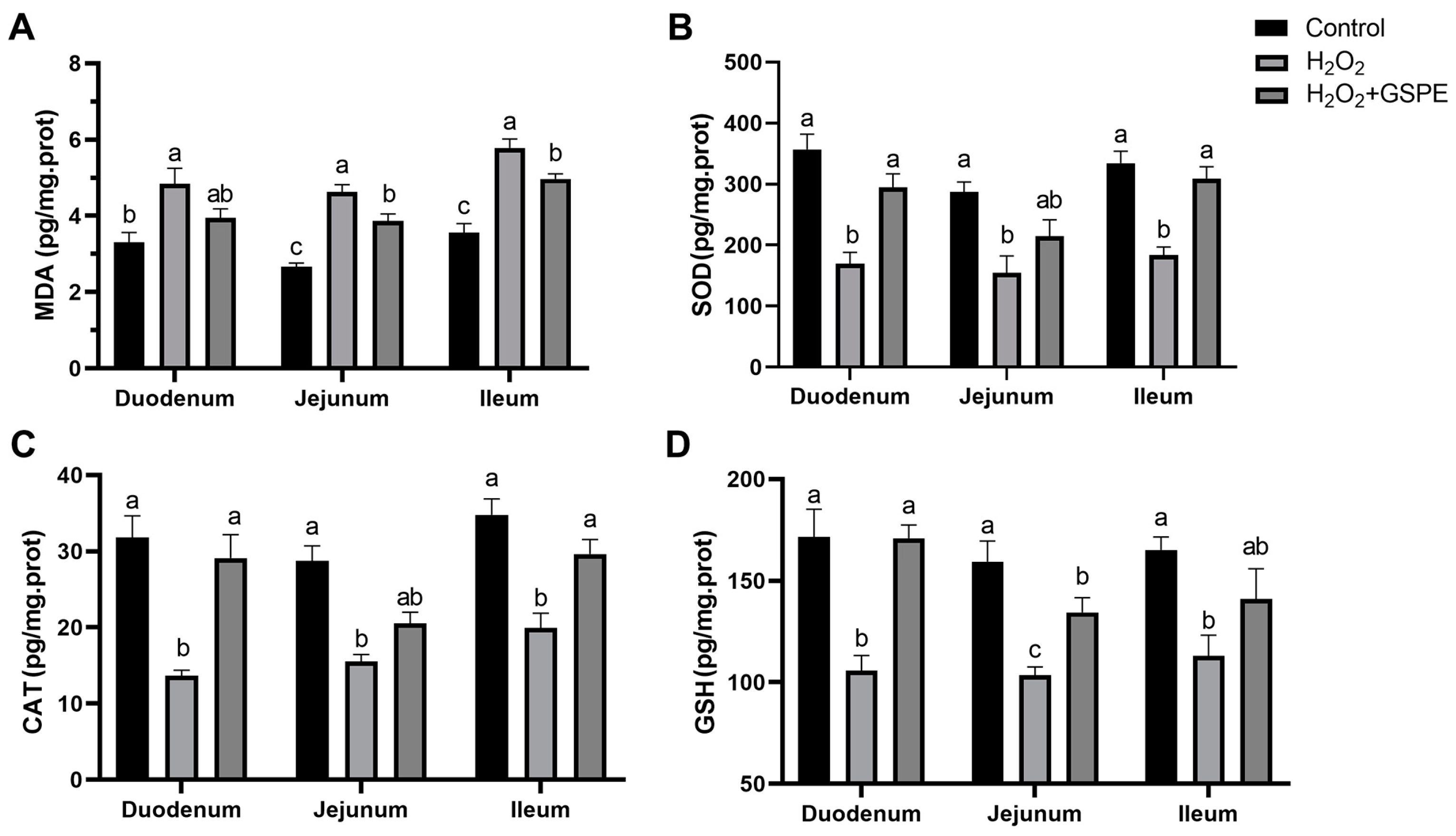 Animals 15 00327 g005