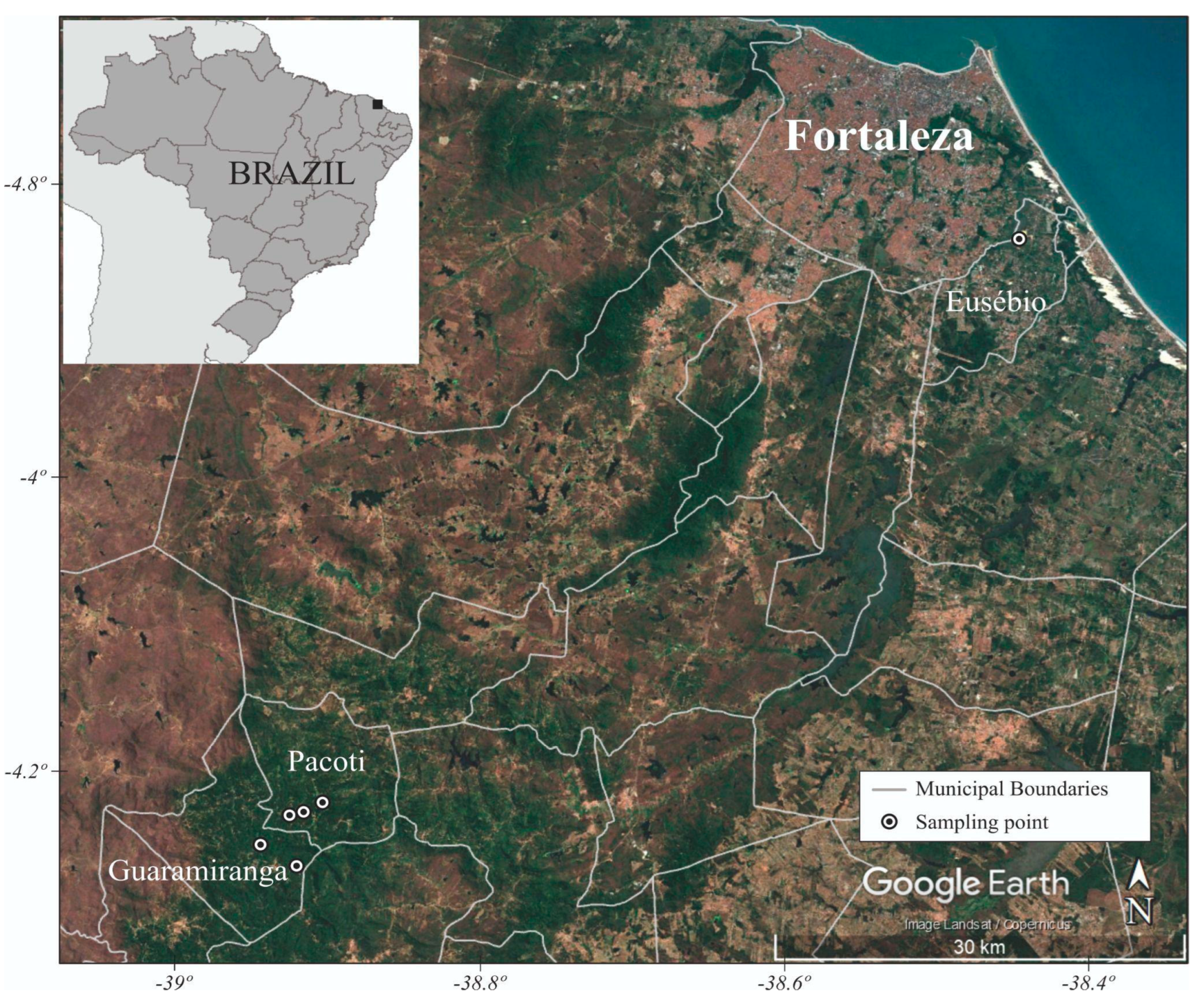Alpha and Betacoronavirus Detection in Neotropical Bats from