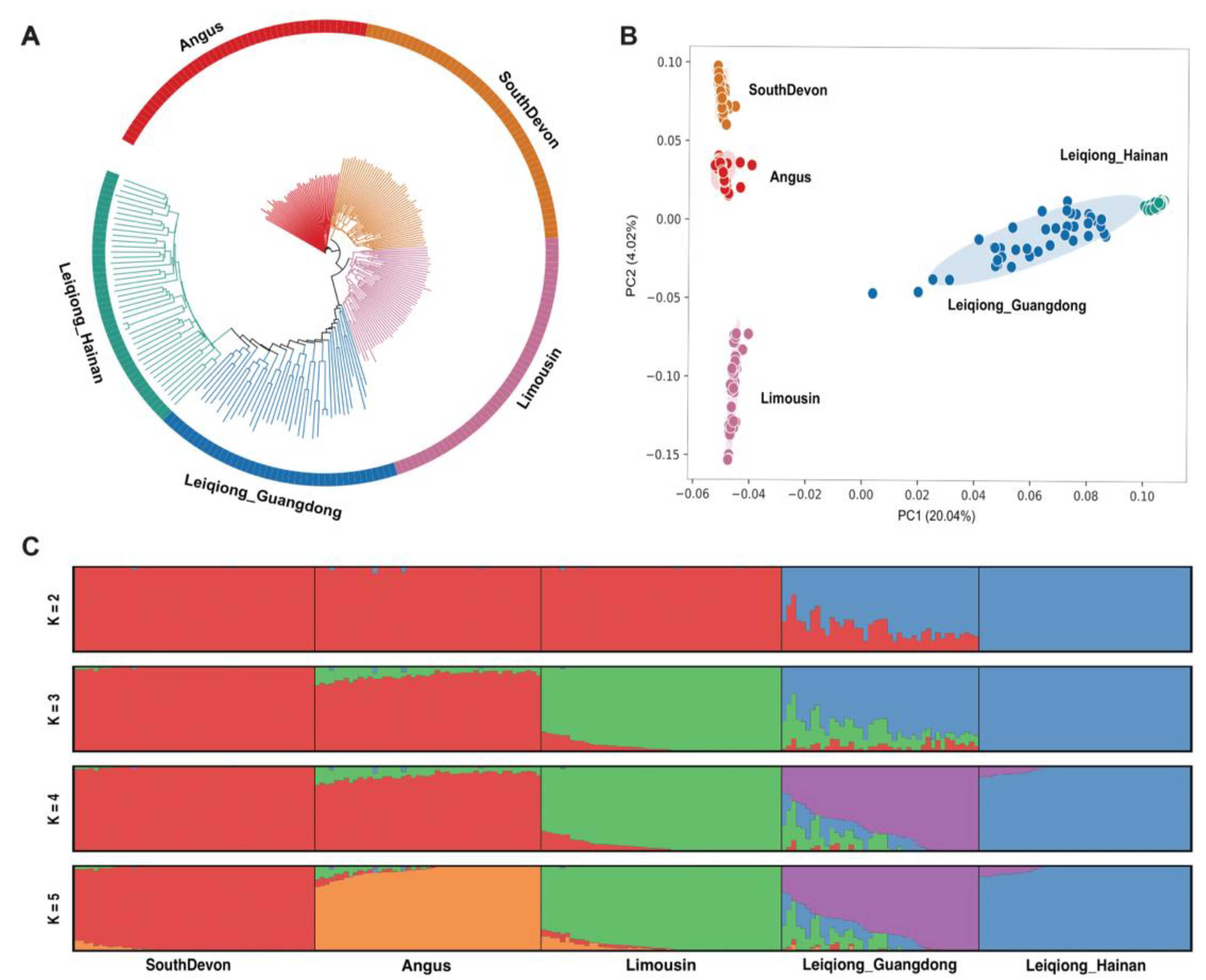 Animals 15 00342 g001 Animals 15 00342 g001