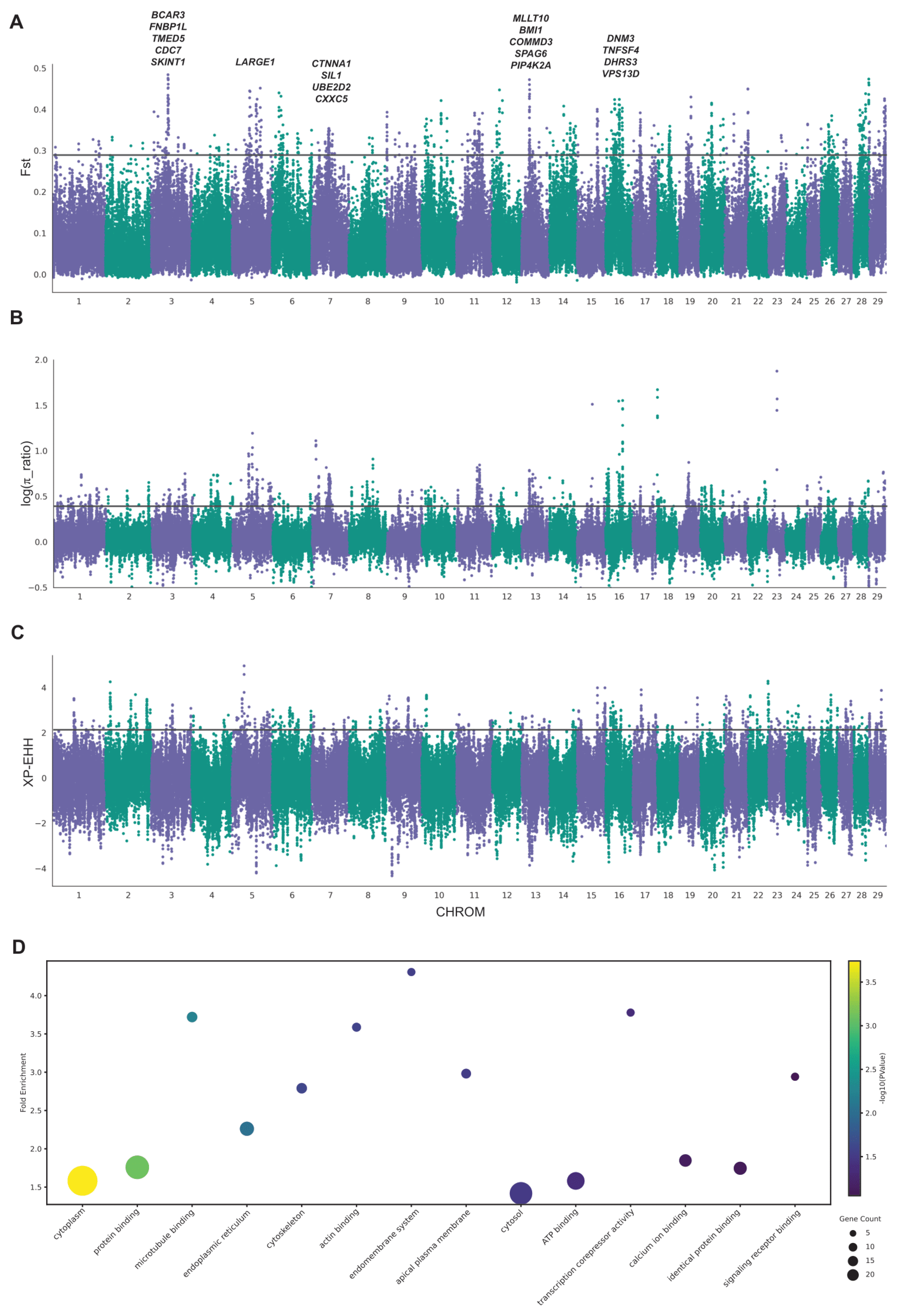 Animals 15 00342 g003 Animals 15 00342 g003