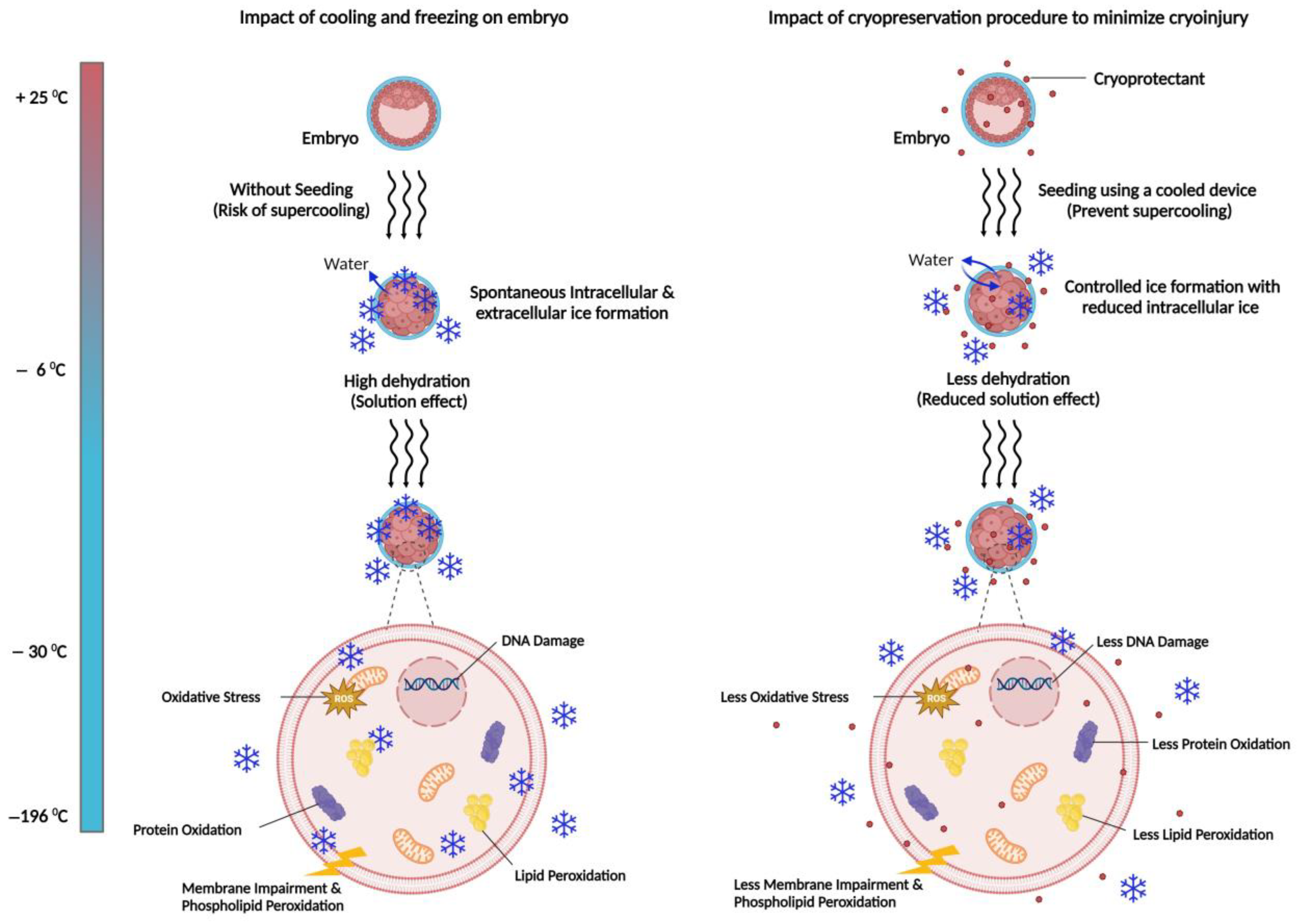 Animals 15 00344 g002 Animals 15 00344 g002