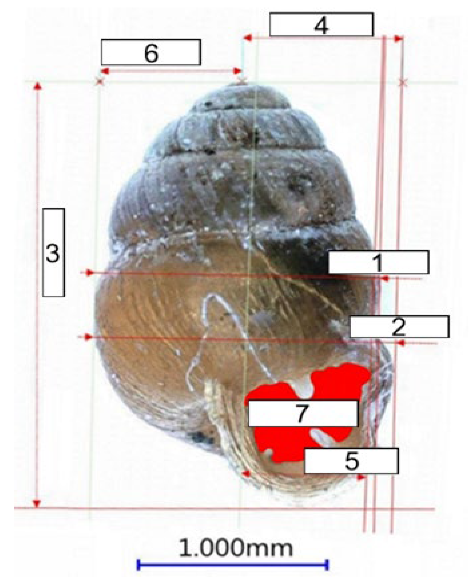 Animals 15 00348 g002