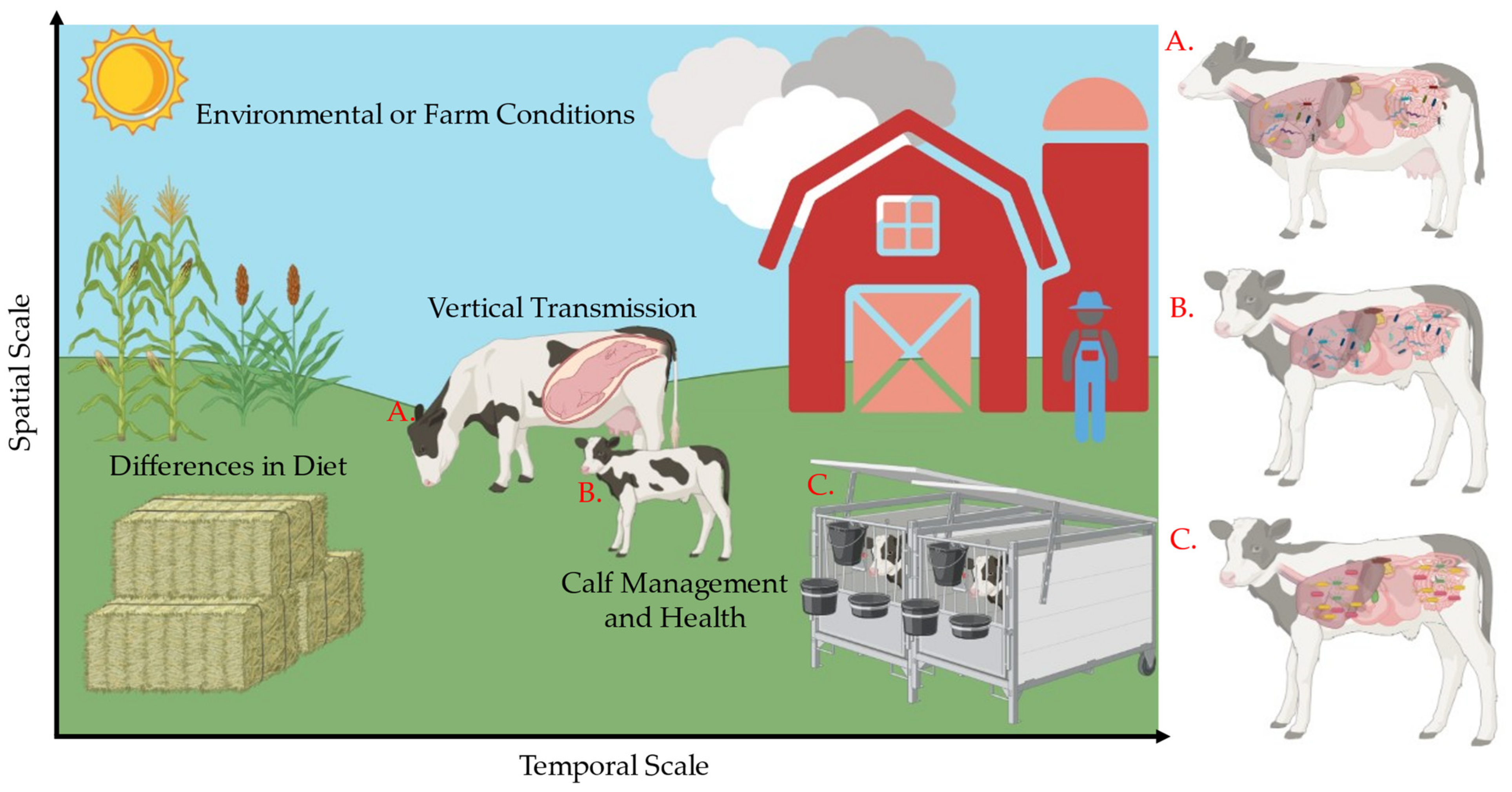 Animals 15 00361 g001