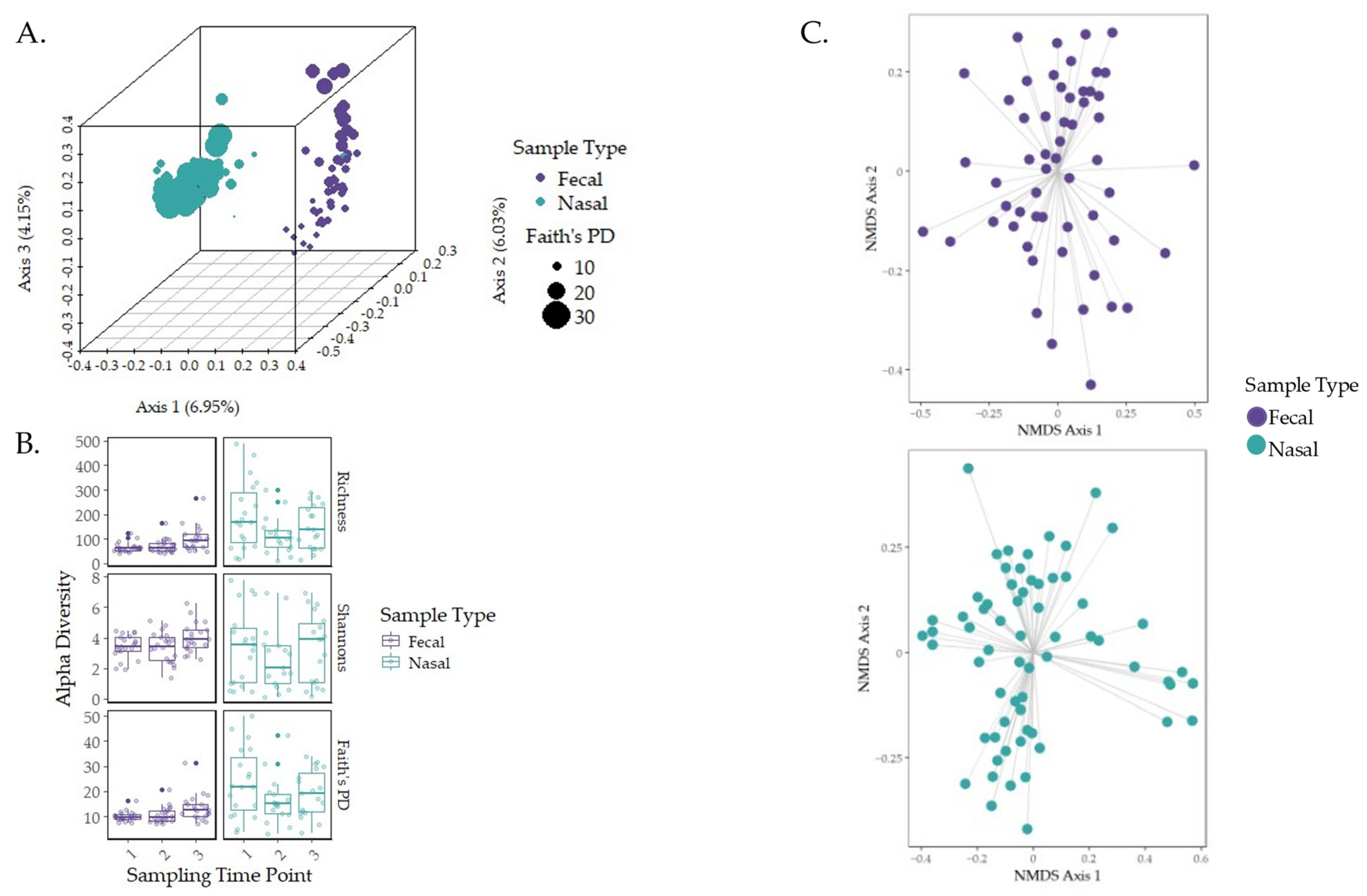 Animals 15 00361 g002