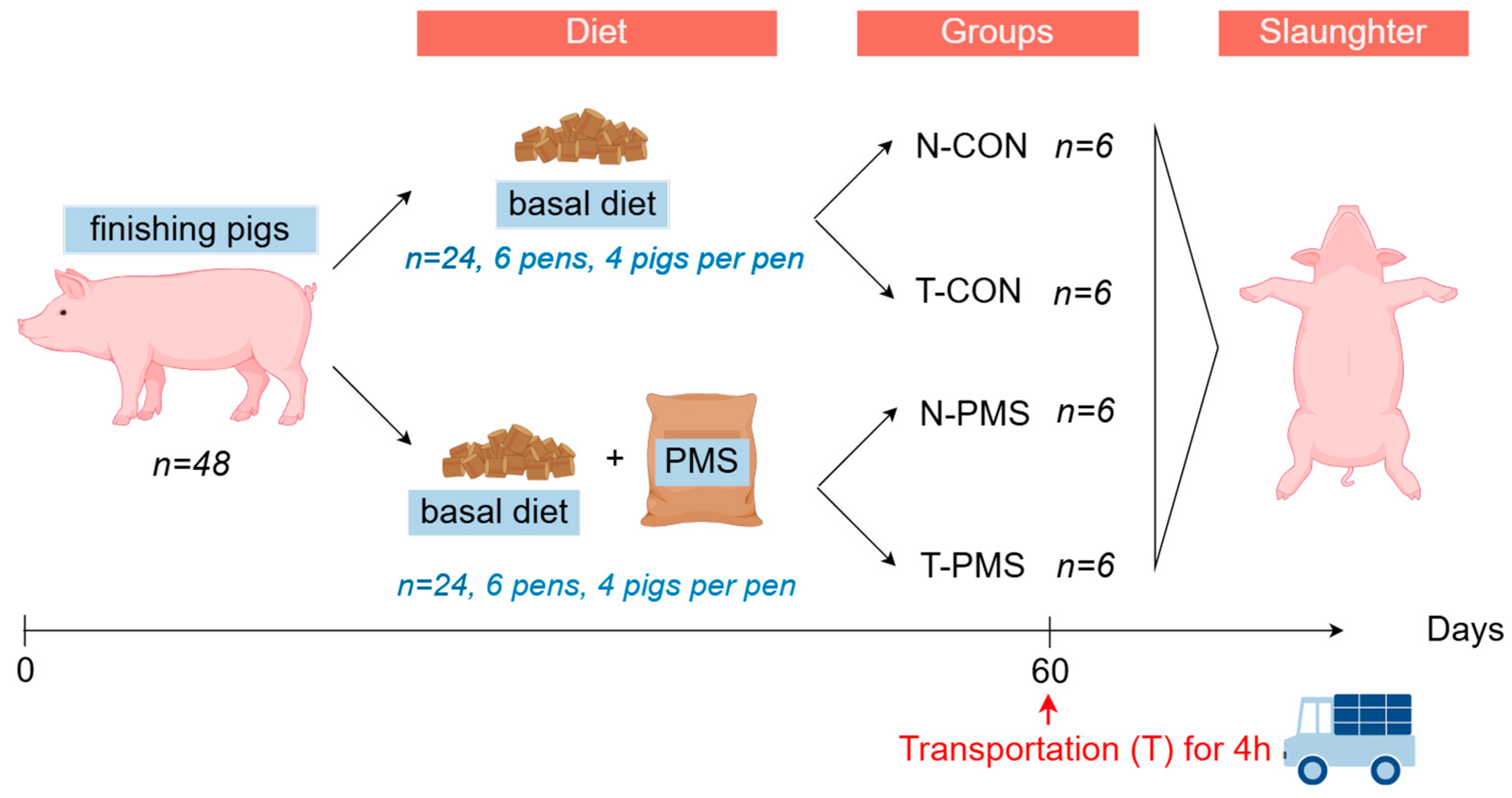 Animals 15 00362 g001