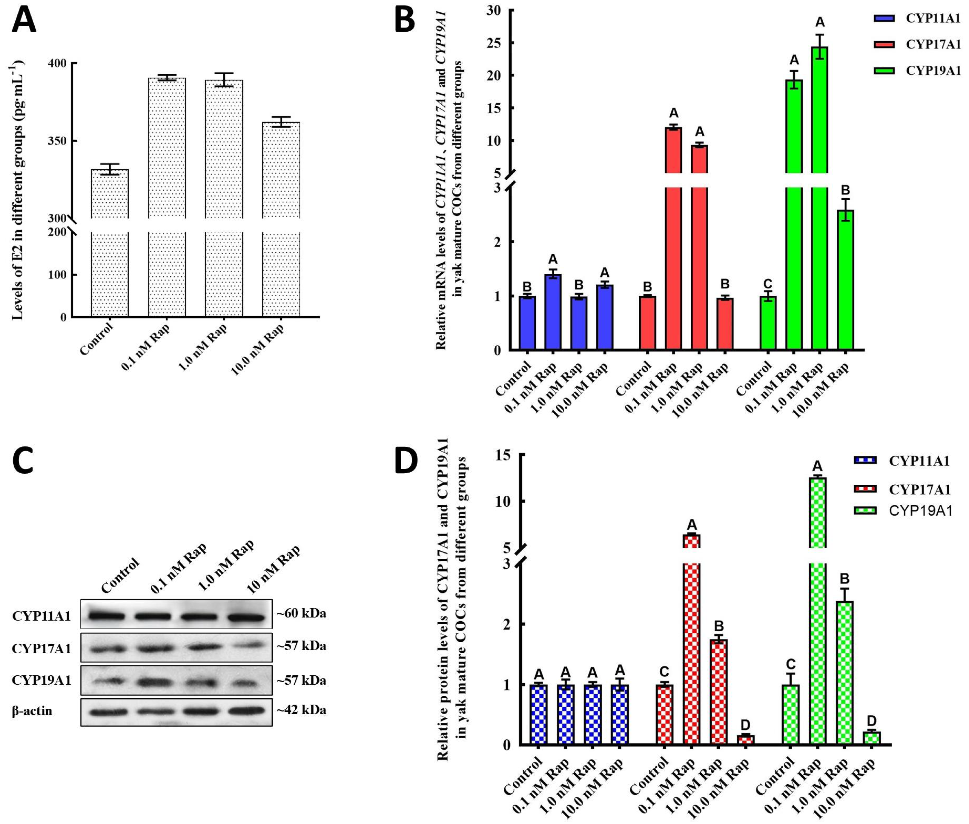 Animals 15 00365 g002