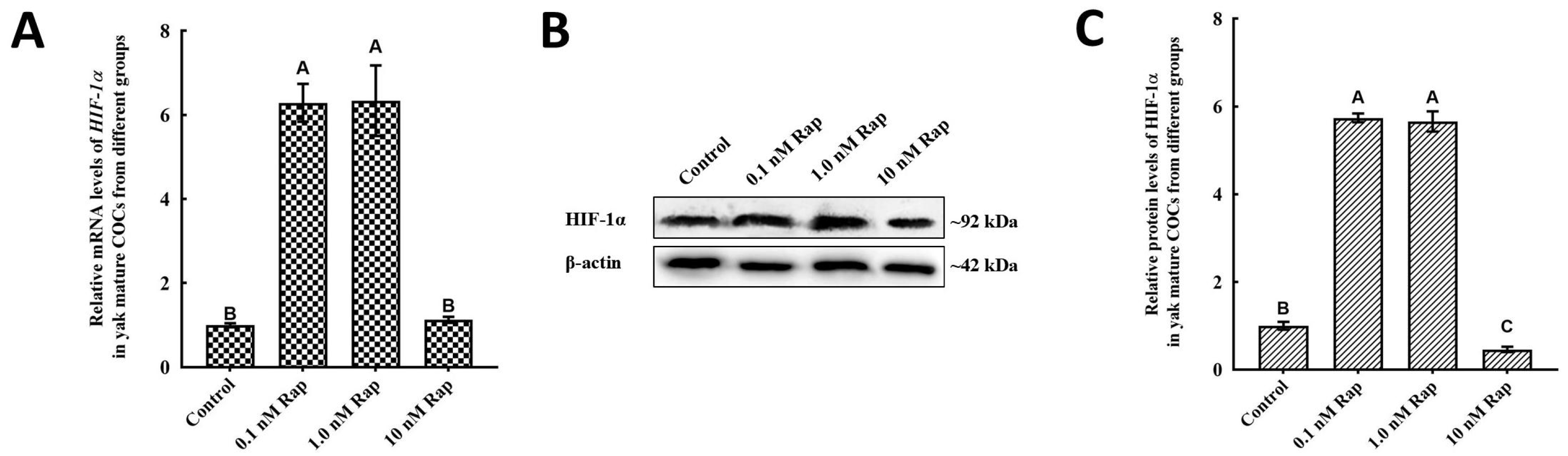 Animals 15 00365 g003