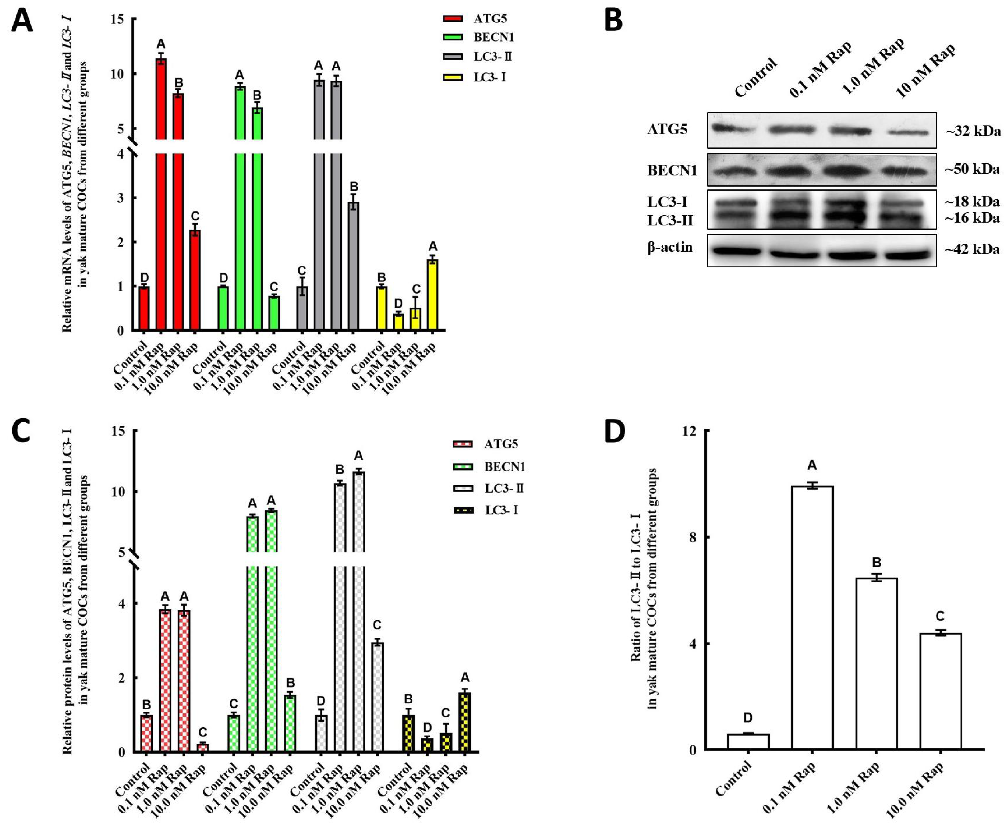 Animals 15 00365 g004