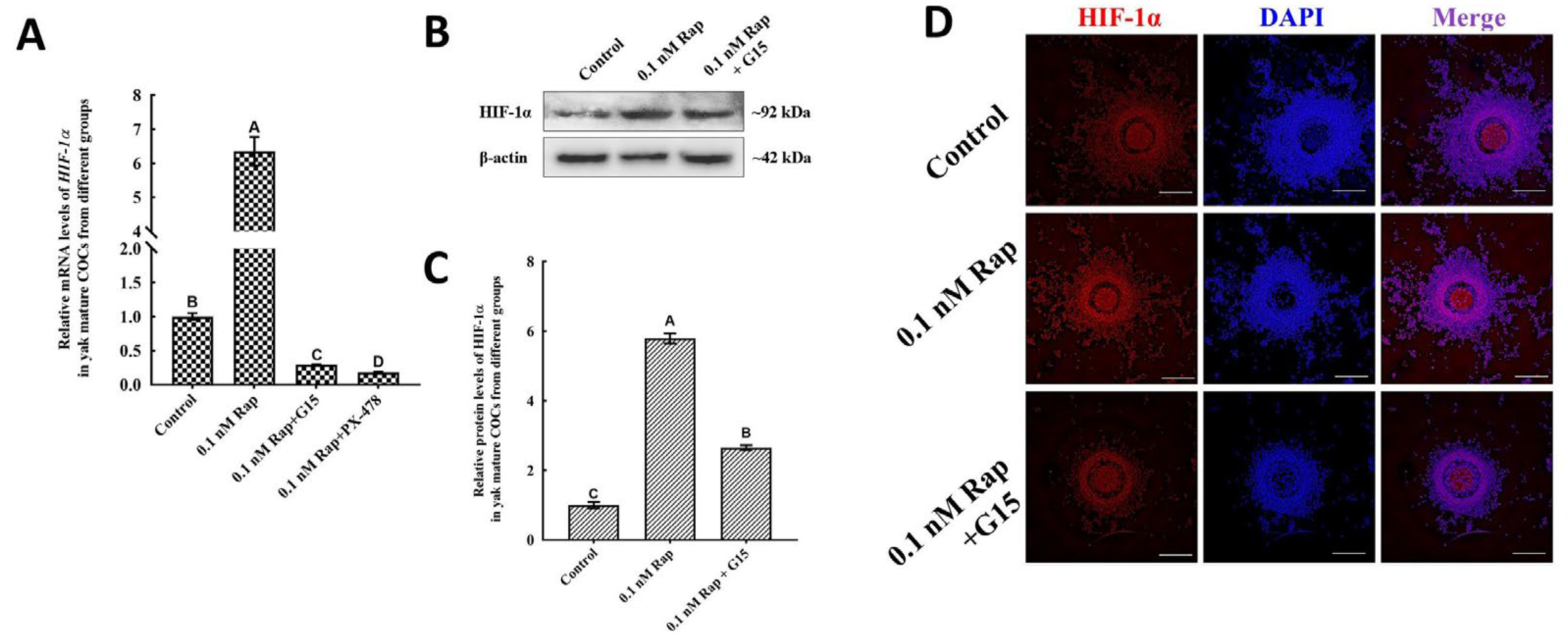 Animals 15 00365 g006