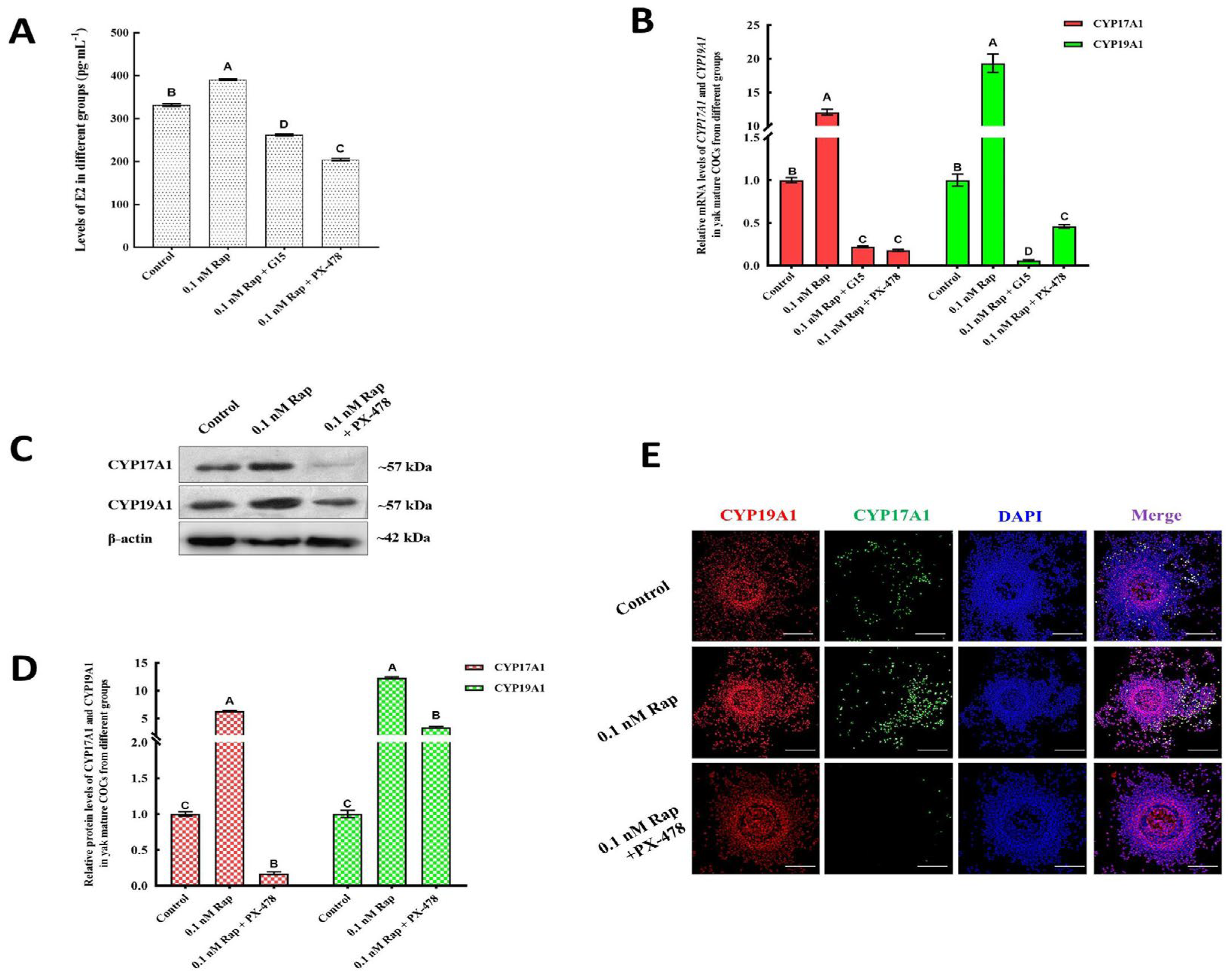 Animals 15 00365 g008