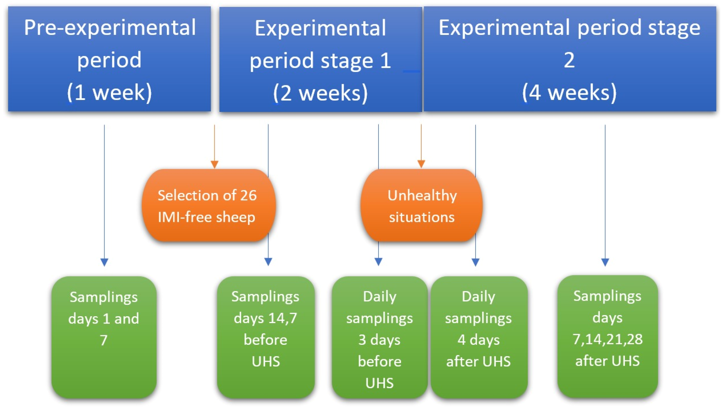 N-Acetyl-β-D-Glucosaminidase Analysis in Sheep Milk Can
