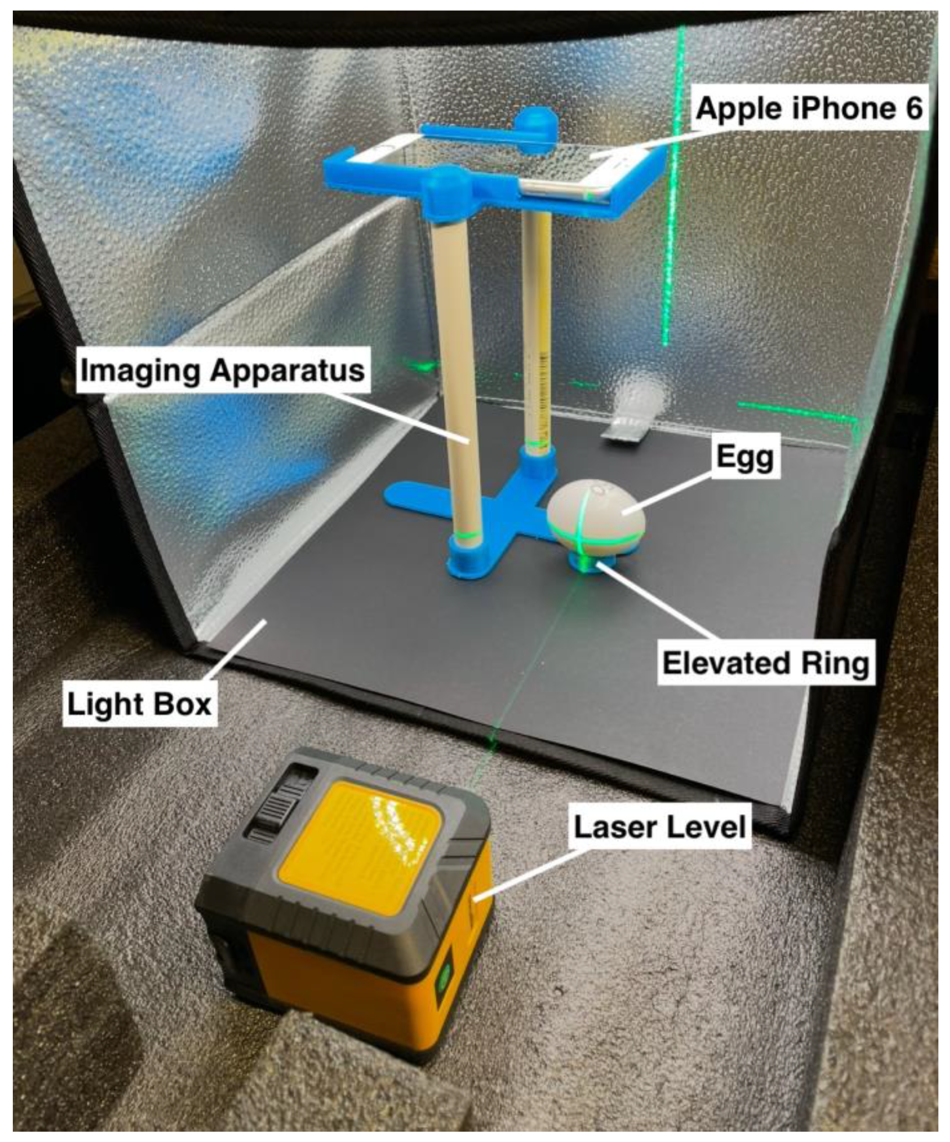 Animals 15 00384 g001