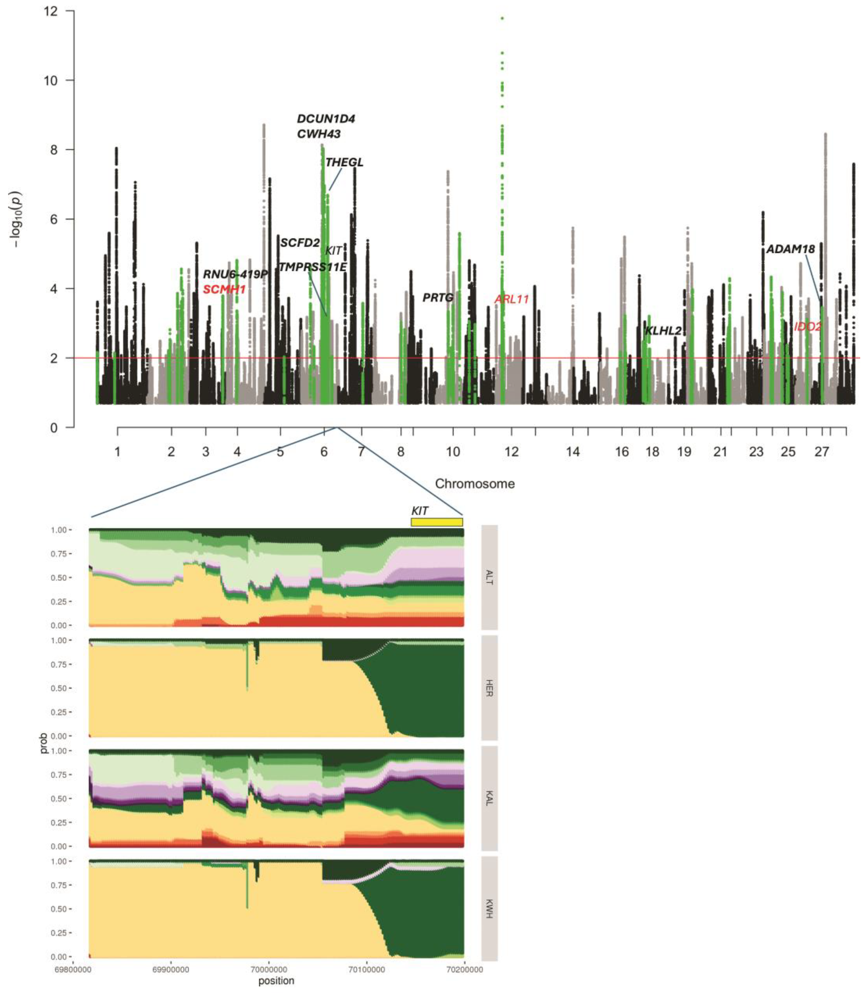 Animals 15 00385 g002
