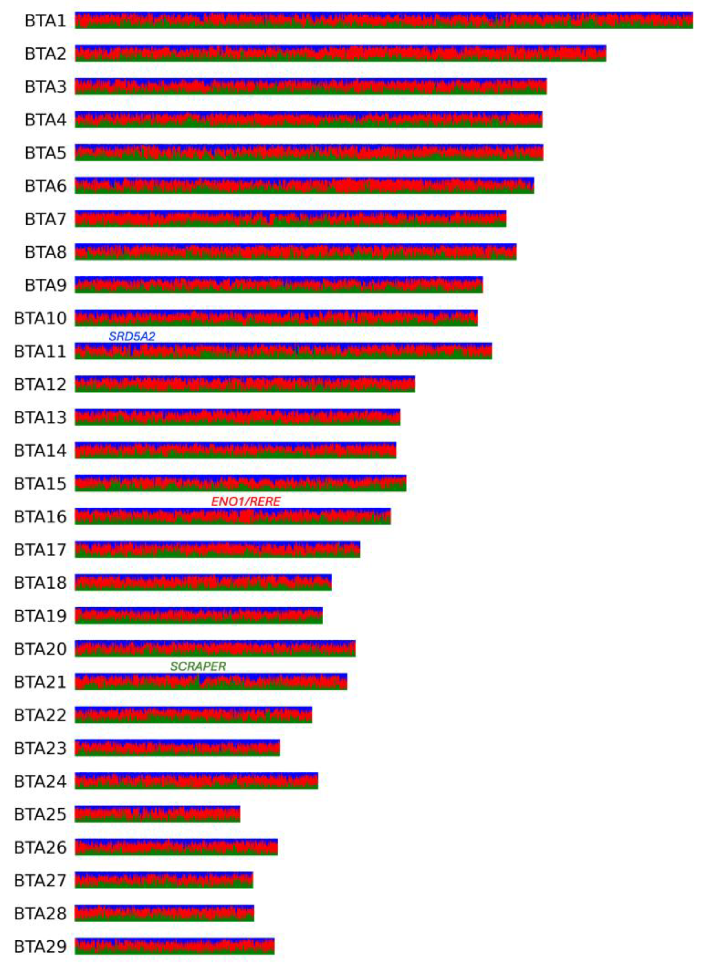 Animals 15 00385 g003