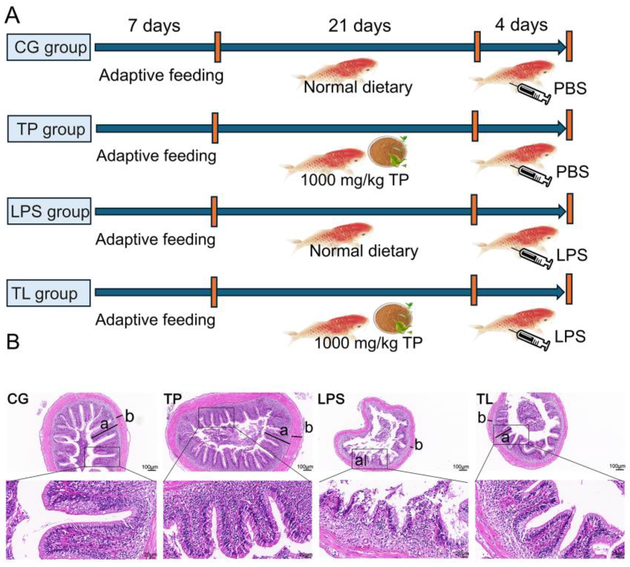 Animals 15 00387 g001