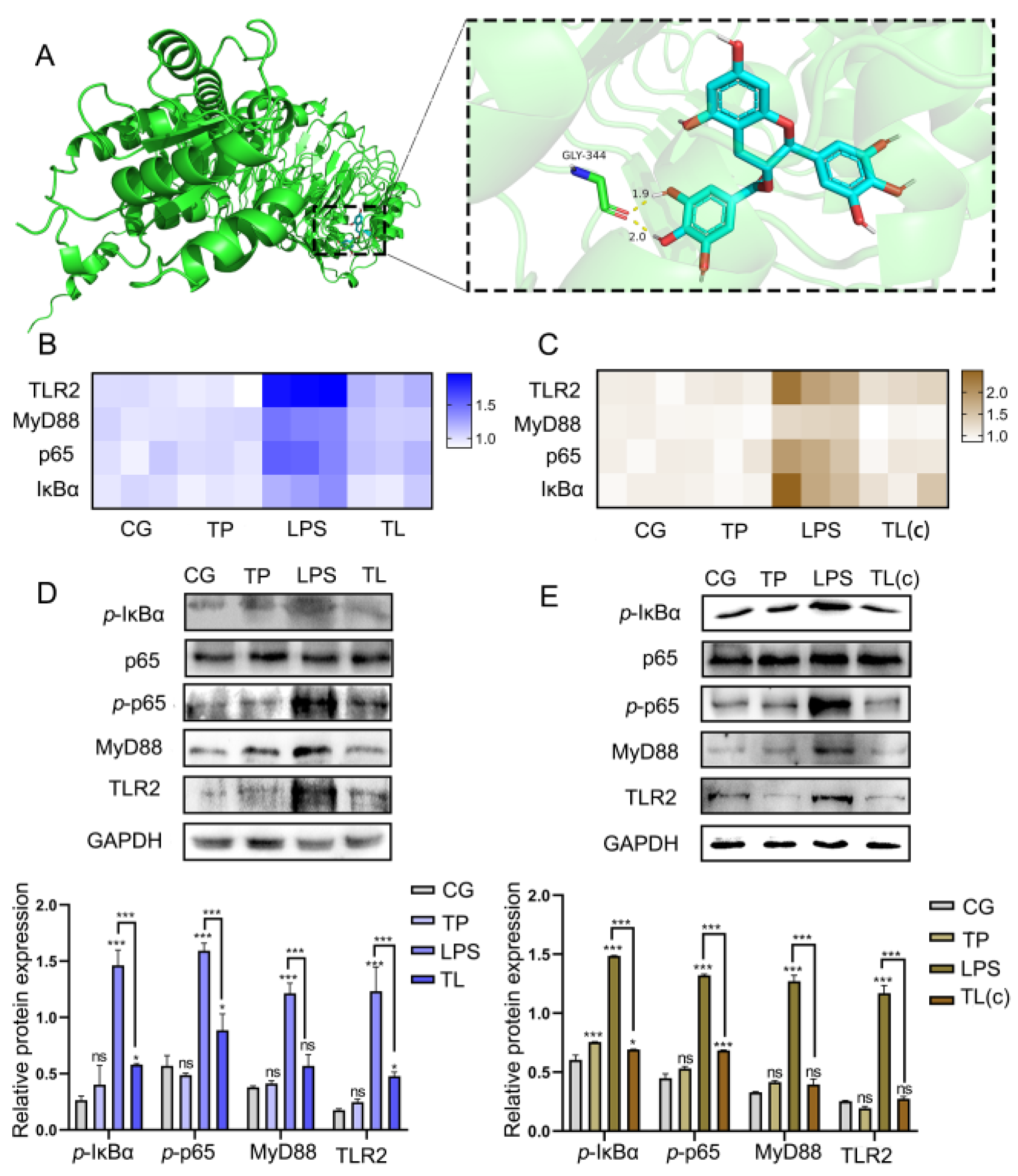 Animals 15 00387 g004