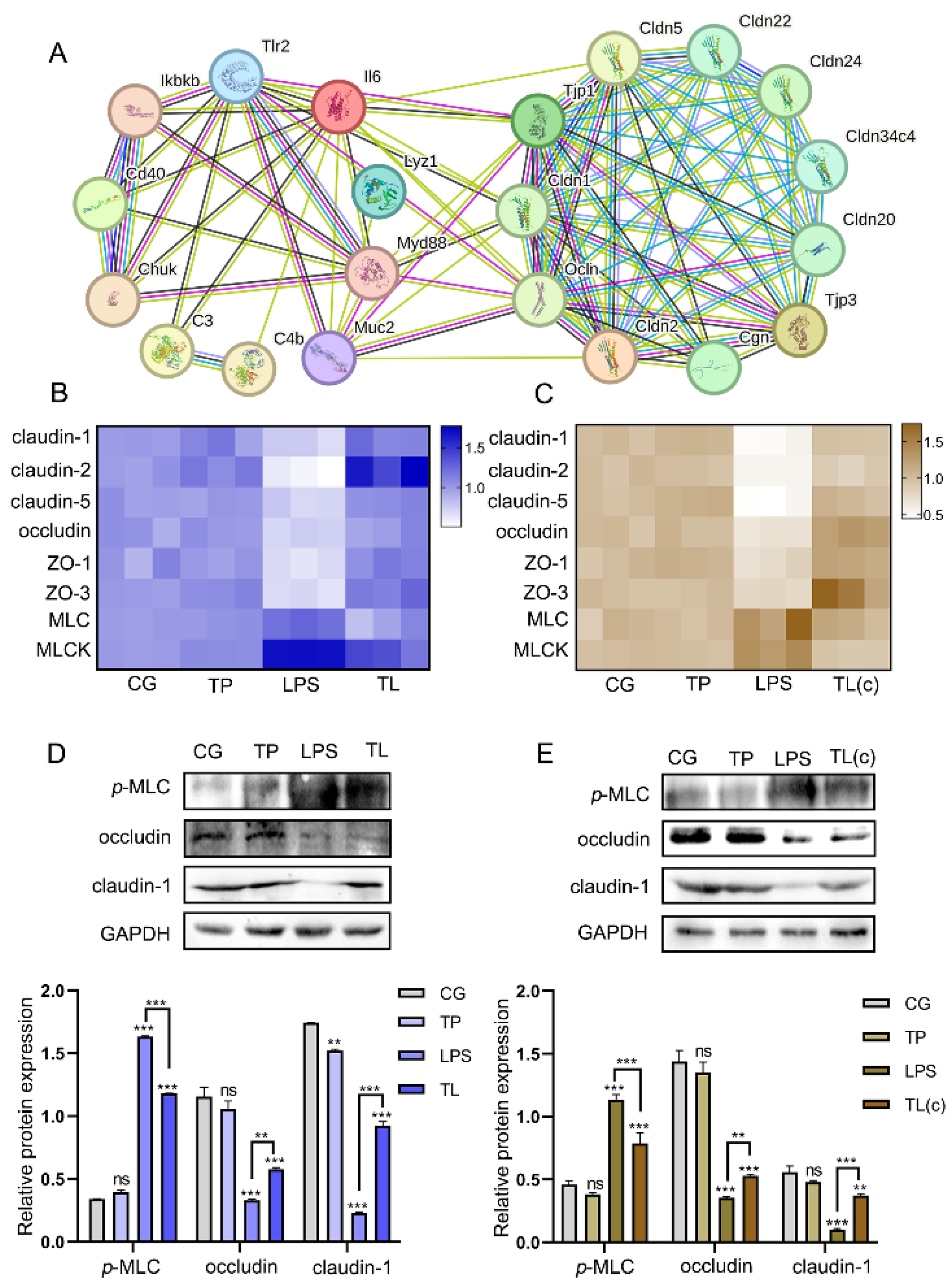 Animals 15 00387 g005