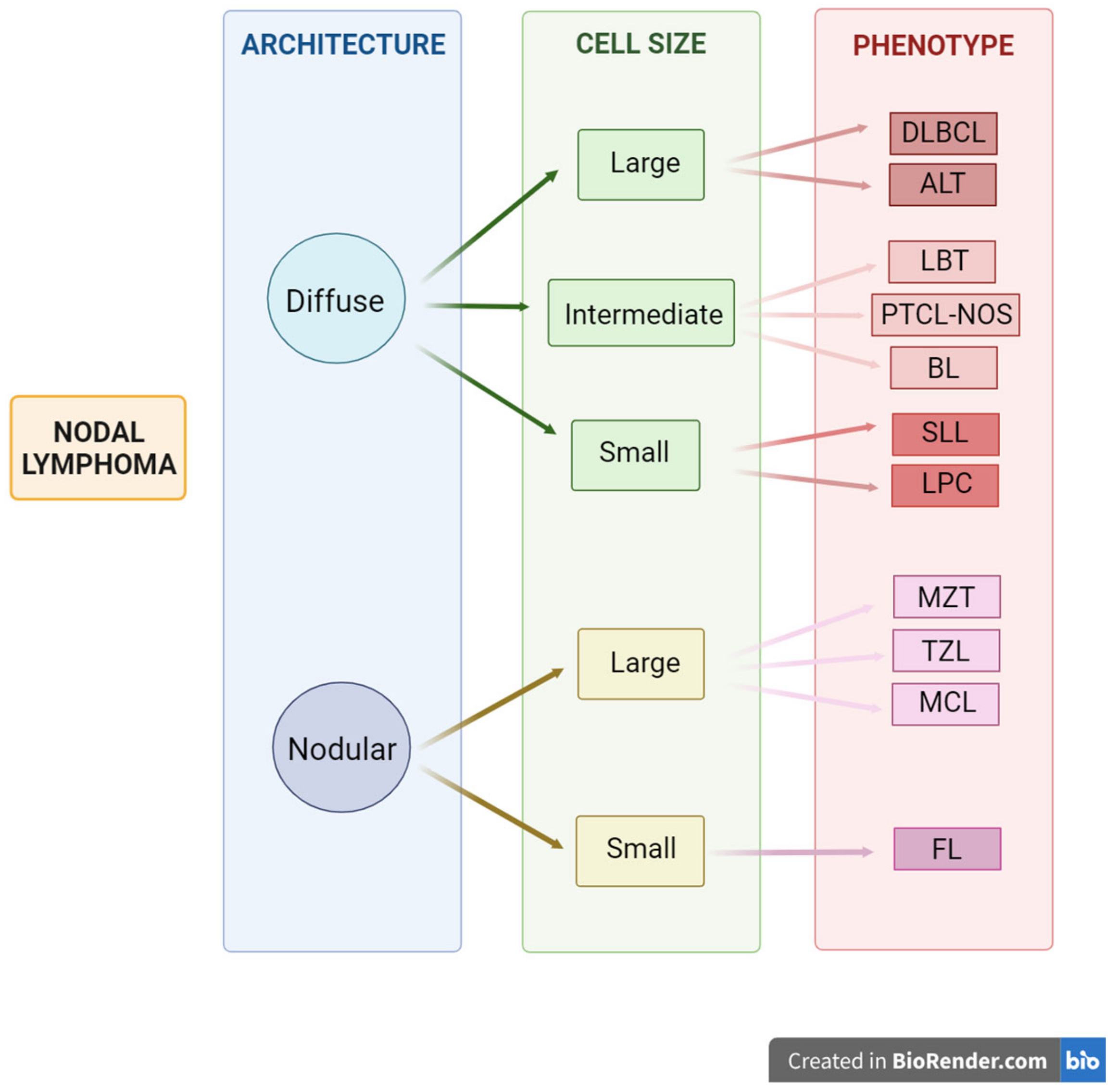 Animals 15 00391 g004