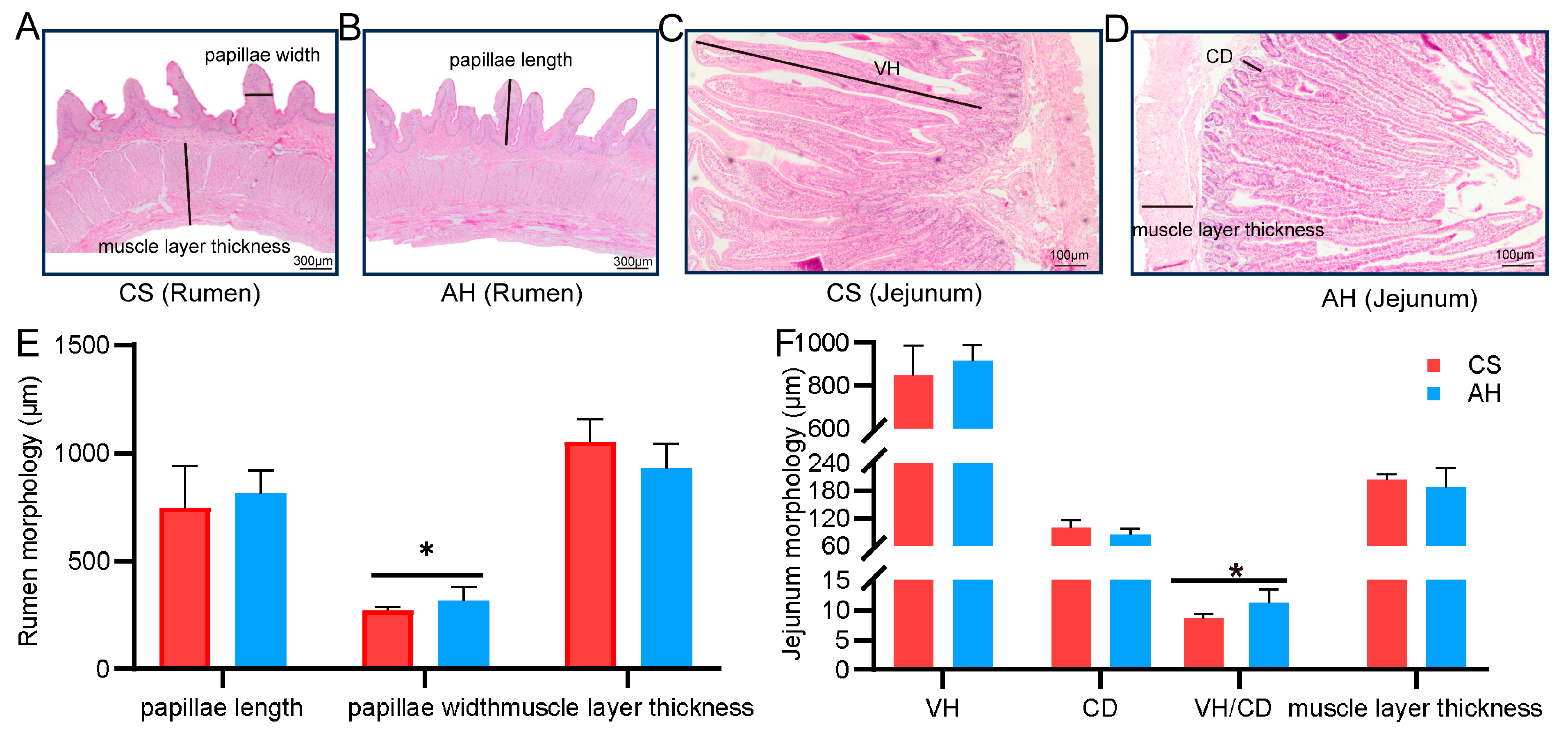 Animals 15 00393 g002