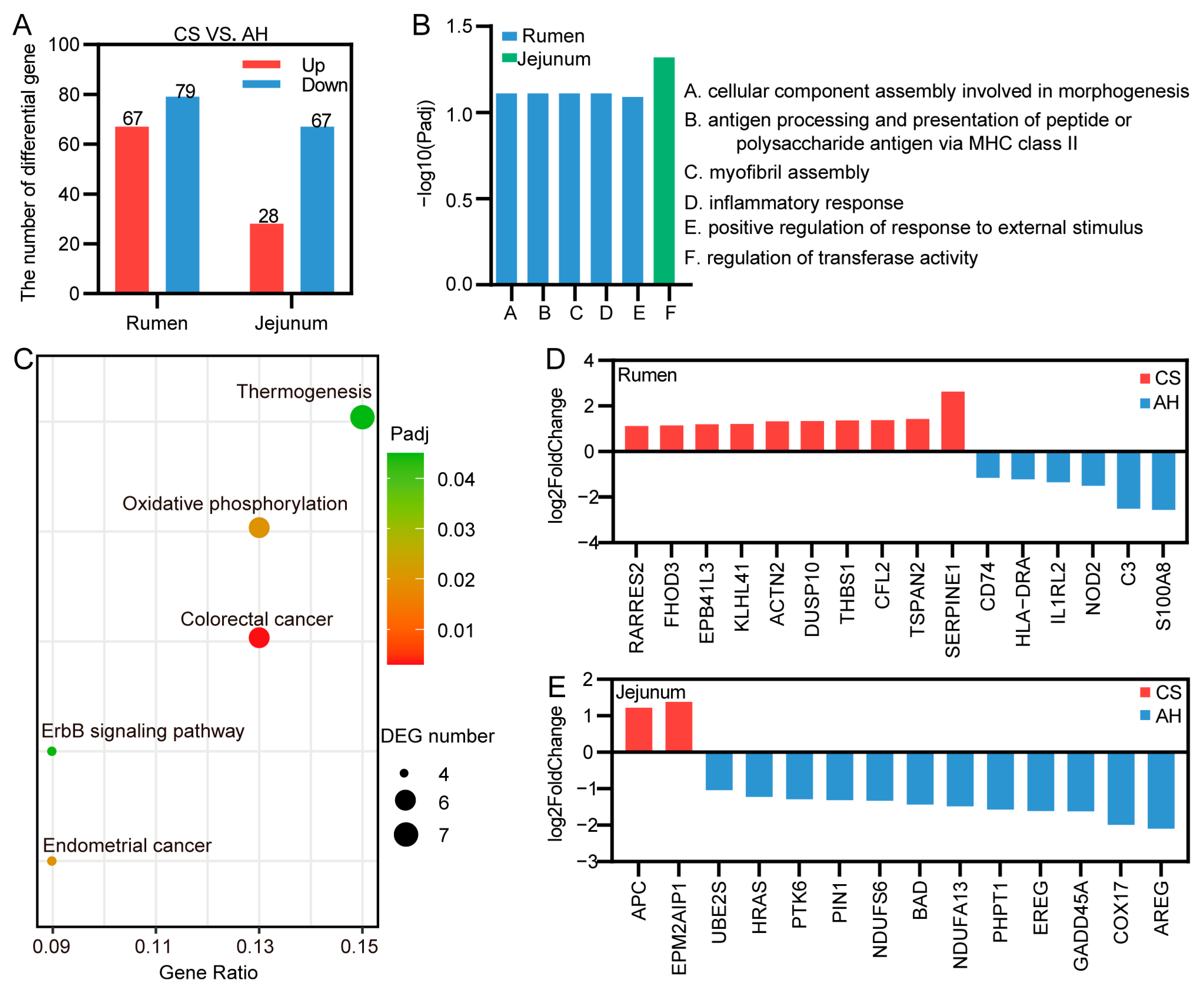 Animals 15 00393 g006