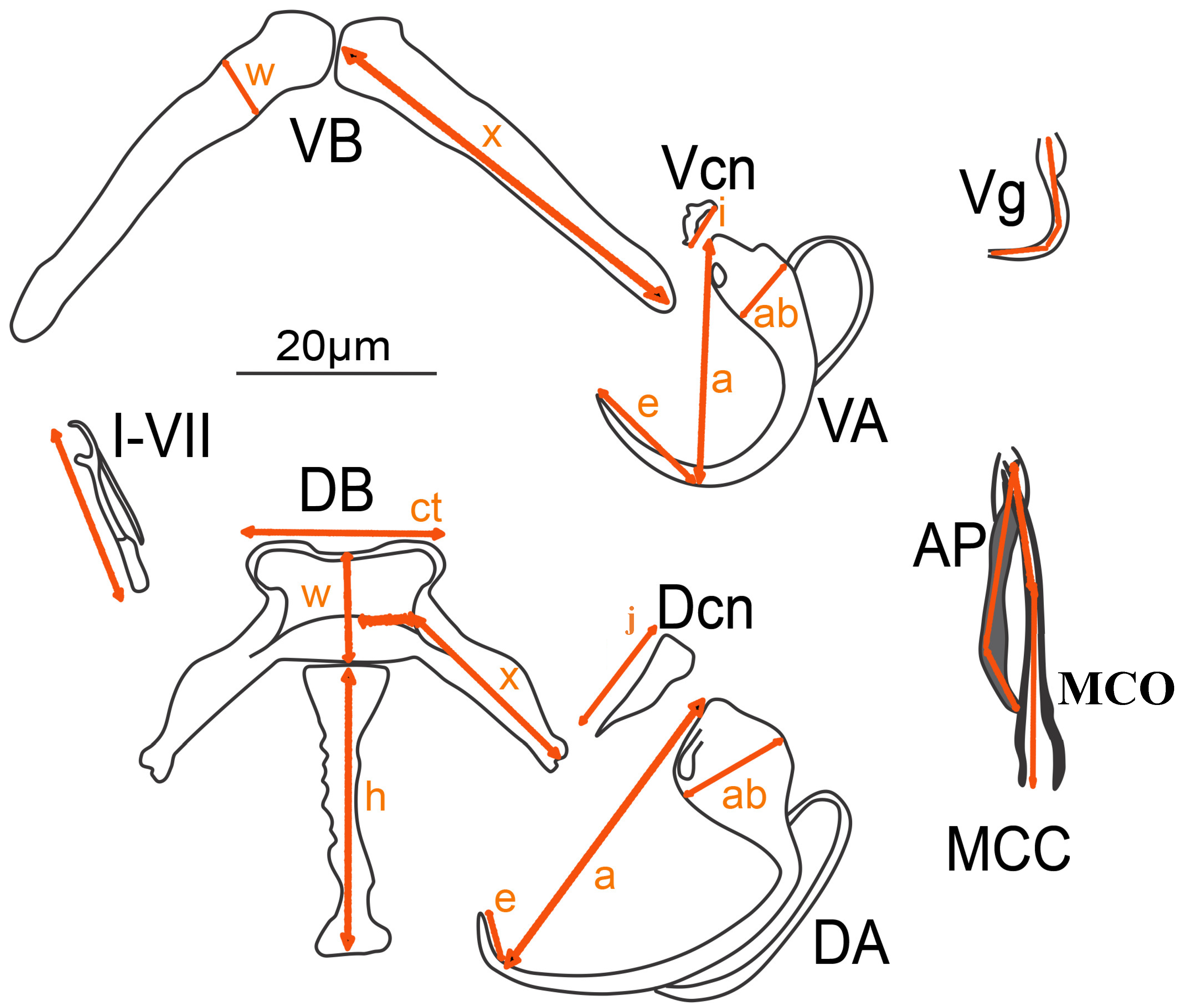 Animals 15 00395 g002 Animals 15 00395 g002