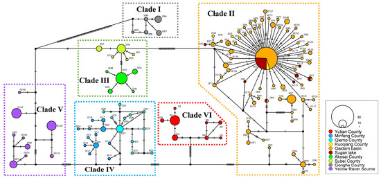 Lineage Diversification and Population Dynamics of the Qinghai Toad ...