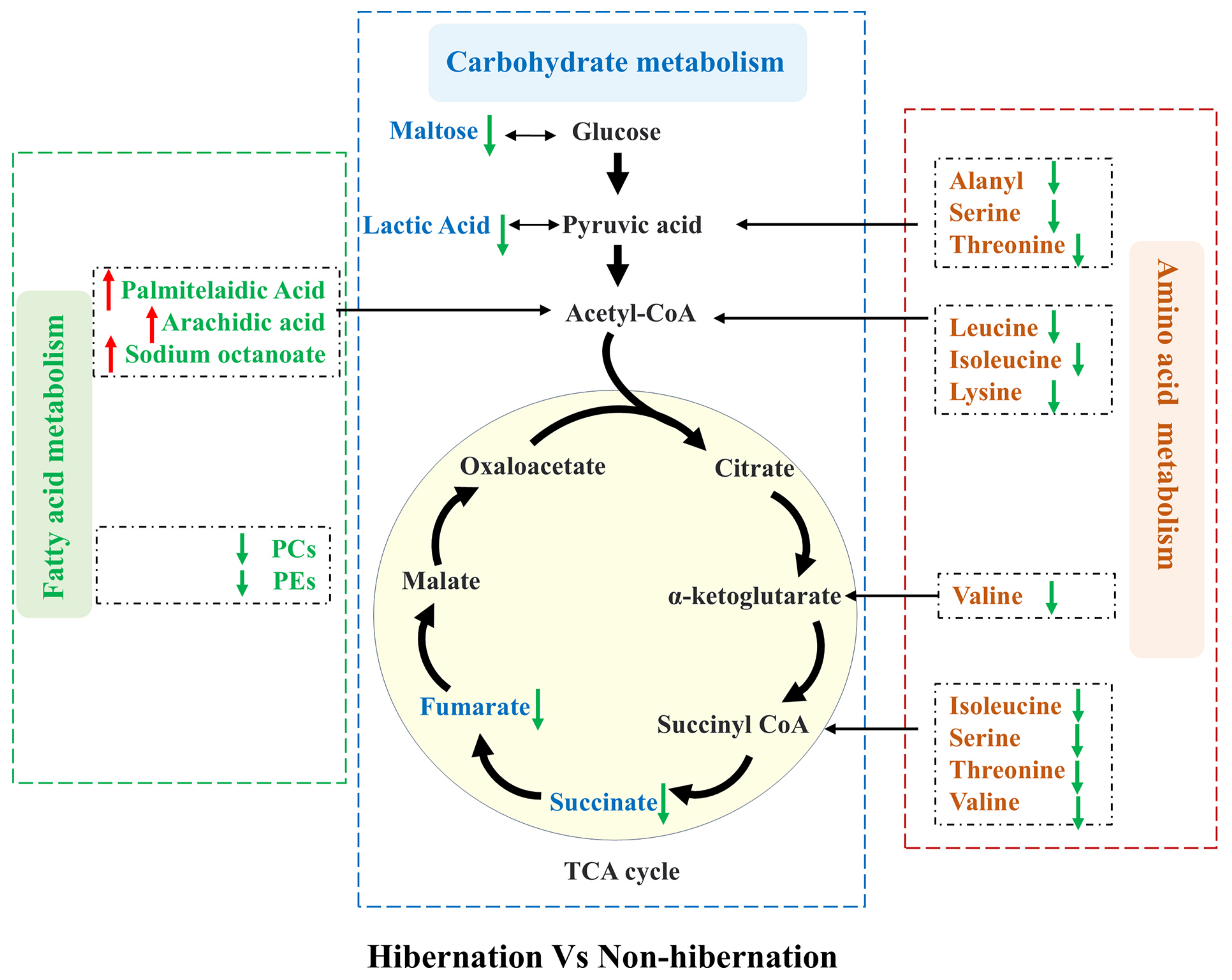 Animals 15 00403 g004