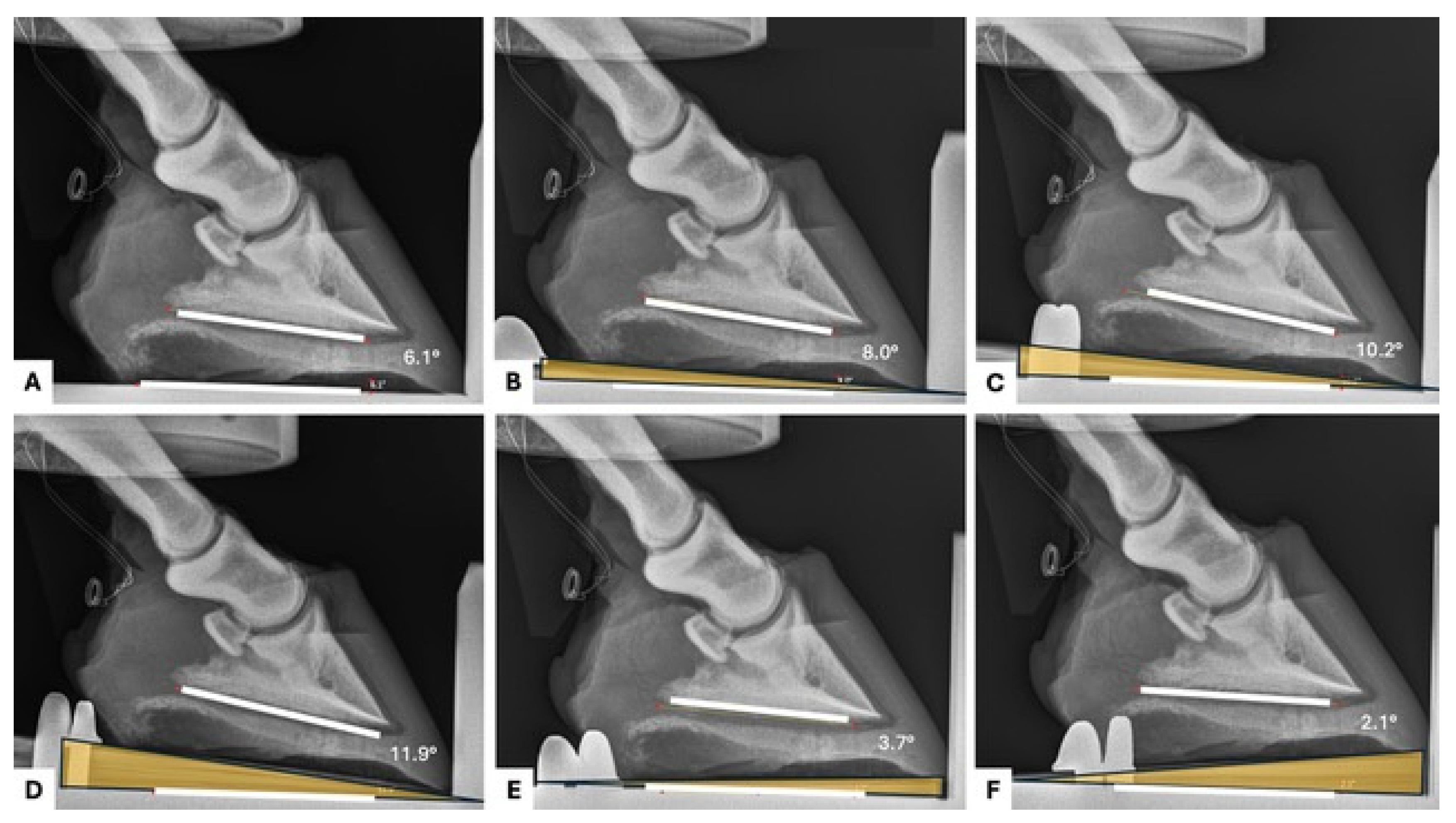 Animals 15 00406 g002