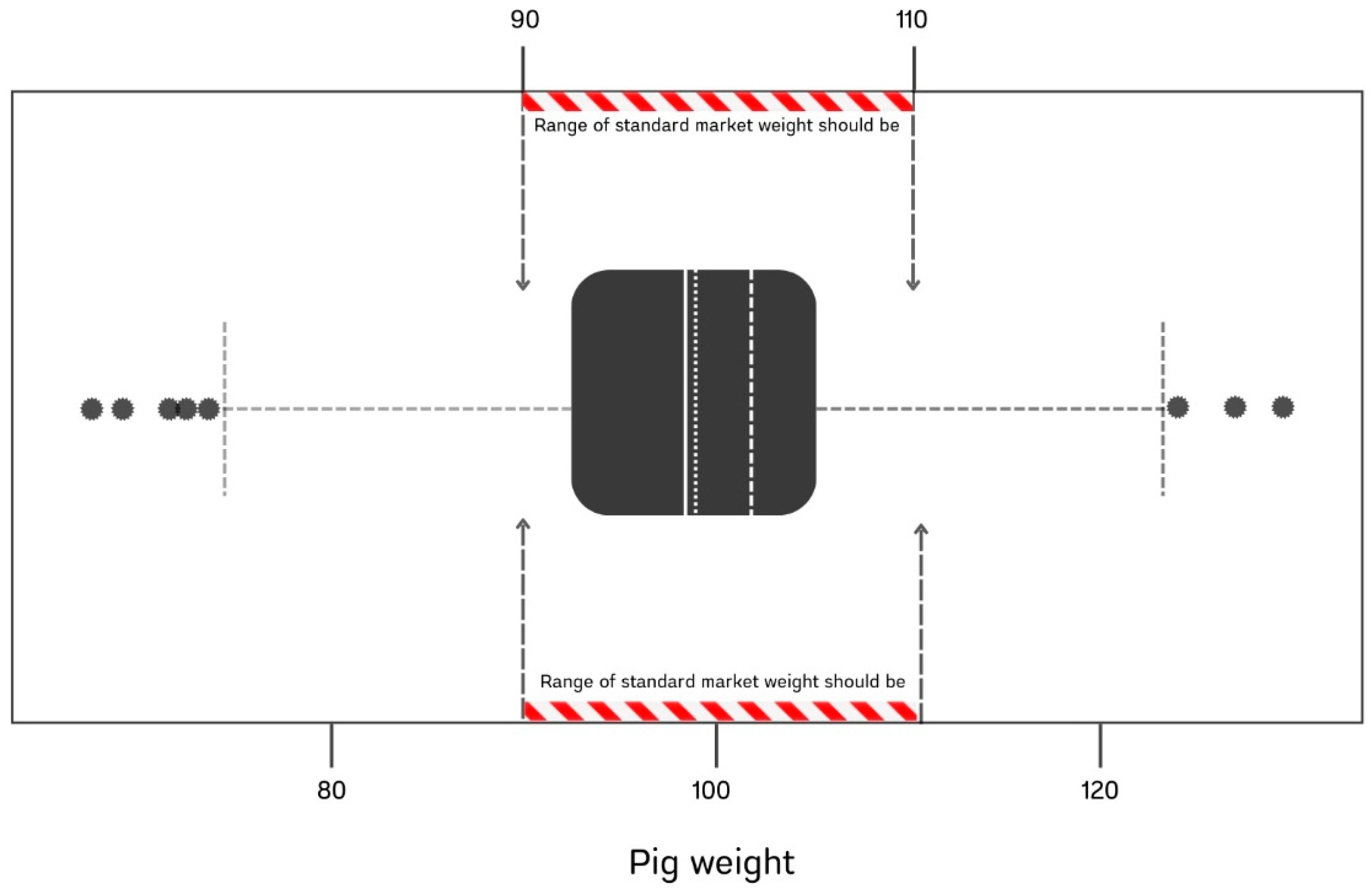 Animals 15 00410 g002