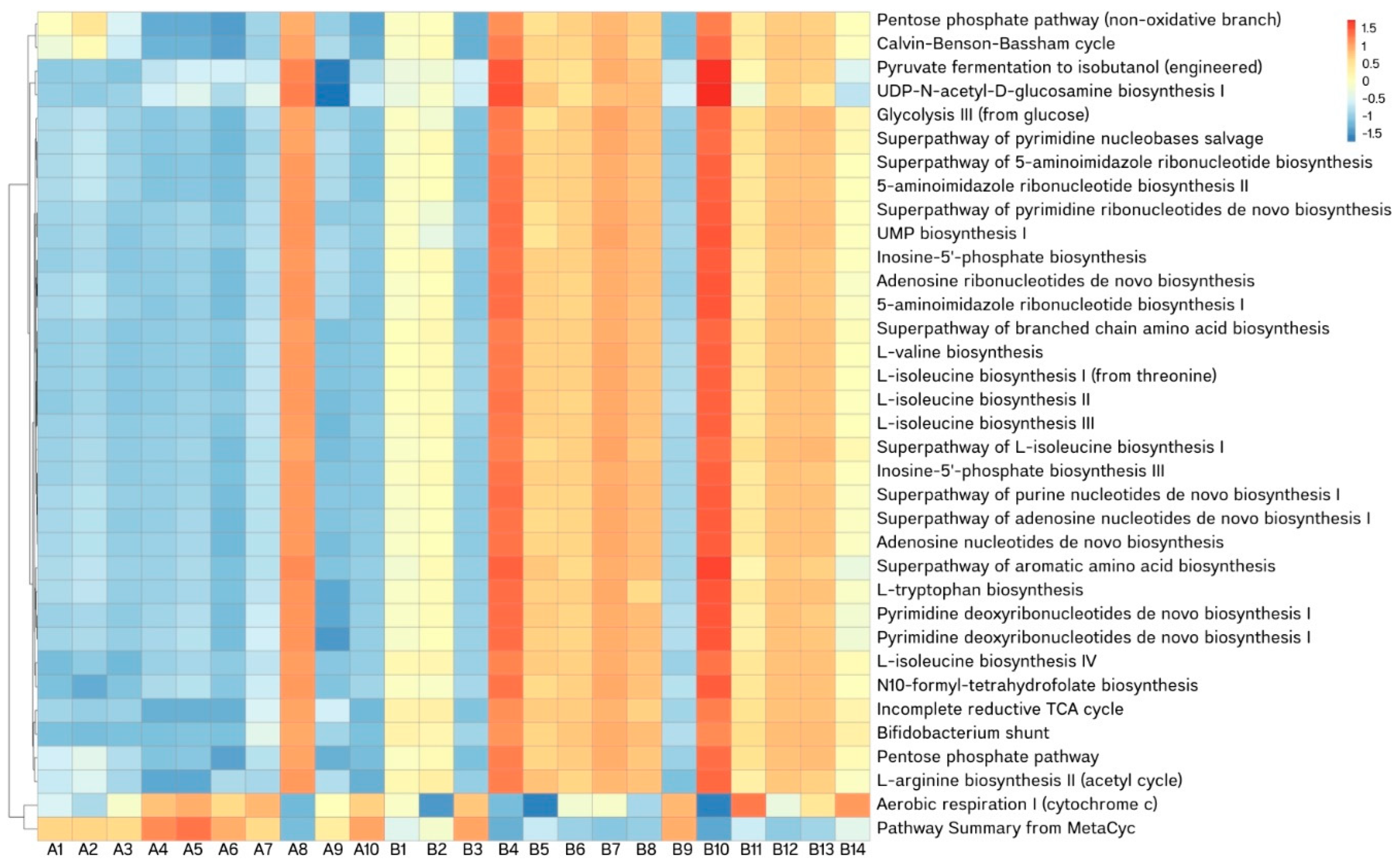Animals 15 00410 g007