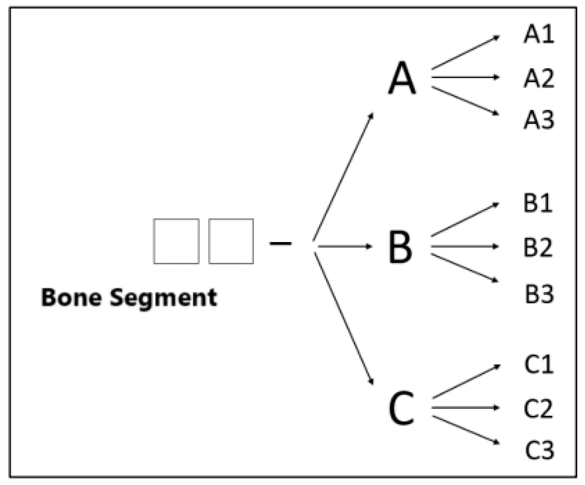 Animals 15 00413 g002