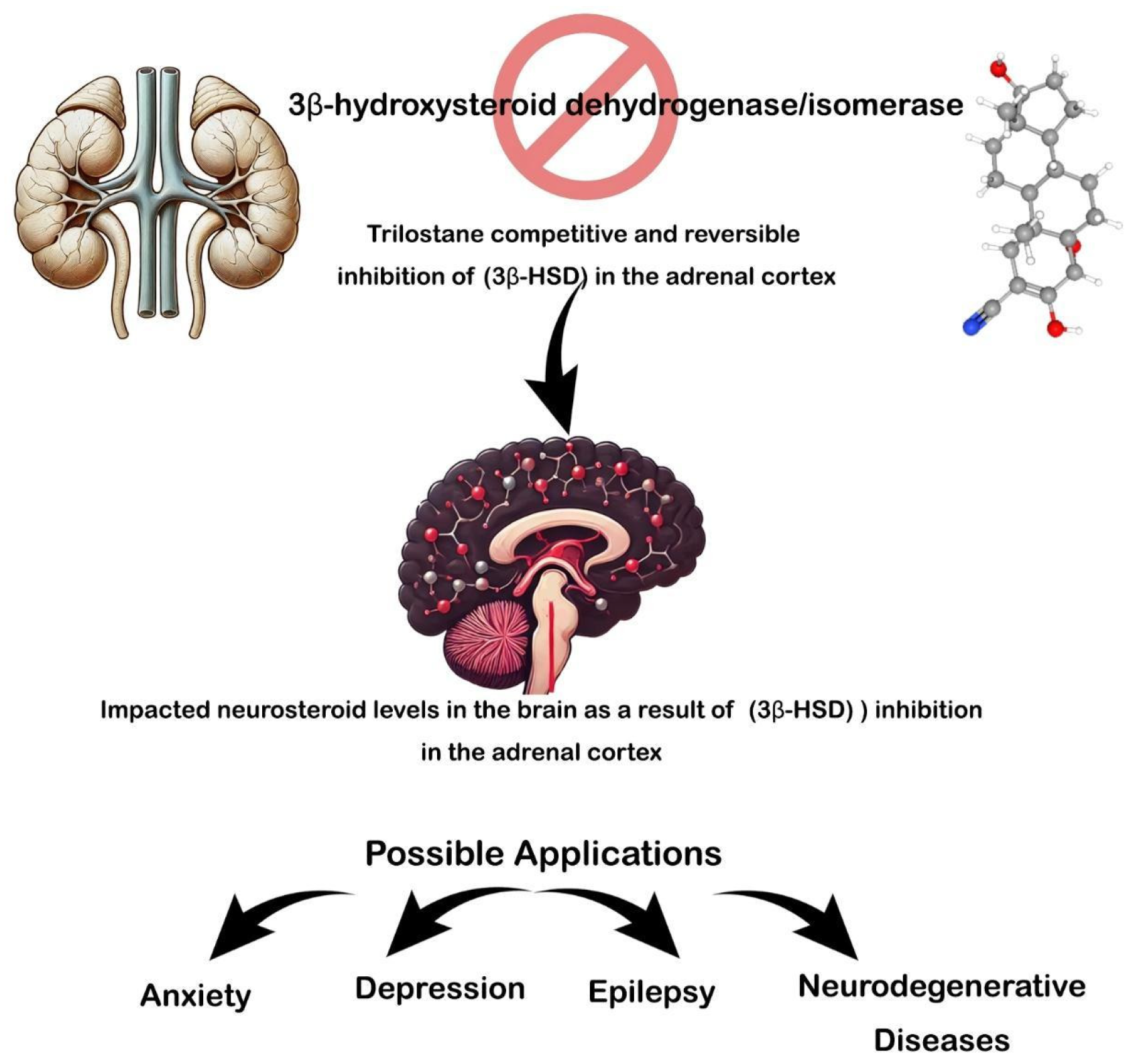 Animals 15 00415 g001