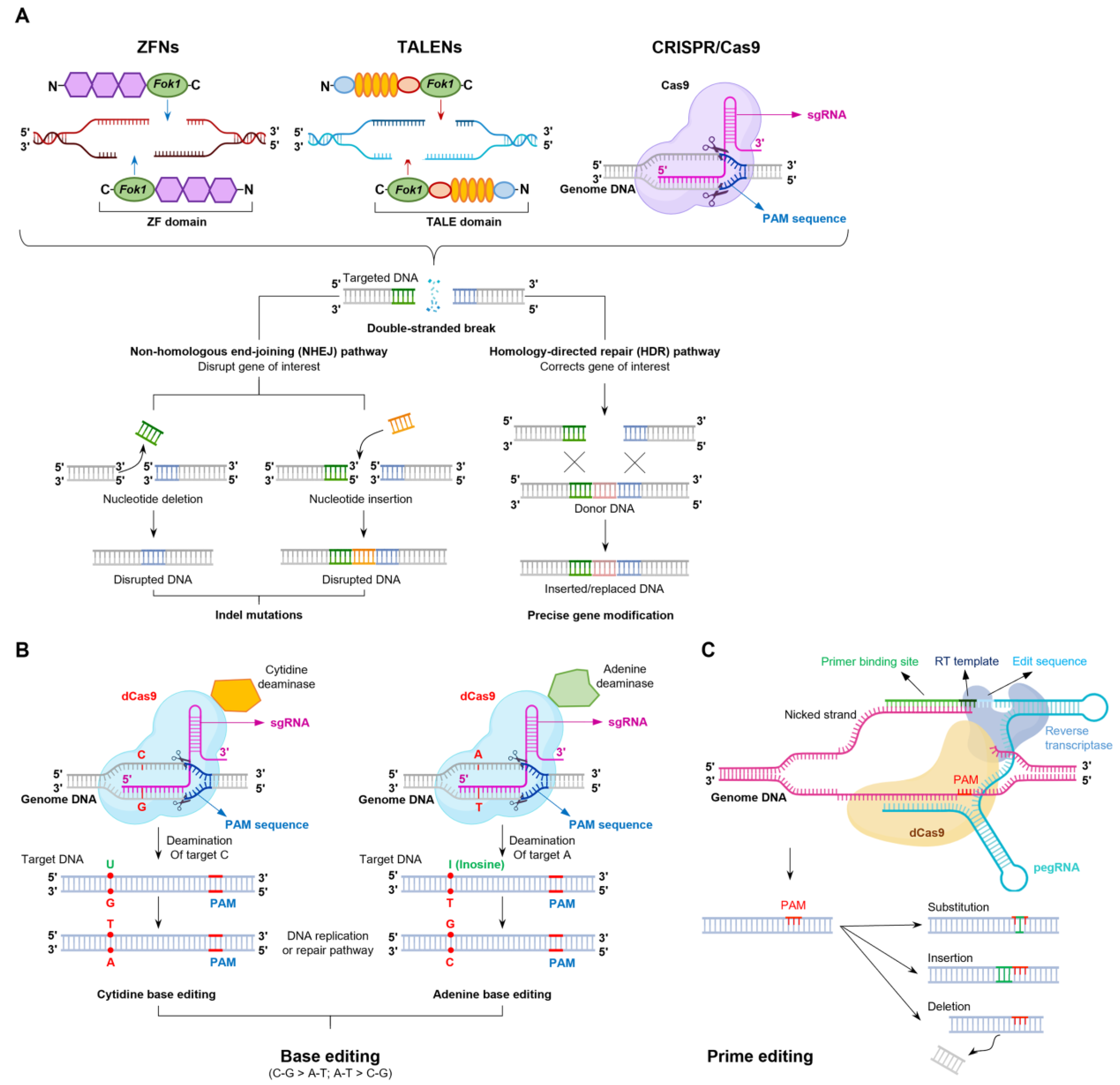 Animals 15 00422 g001 Animals 15 00422 g001