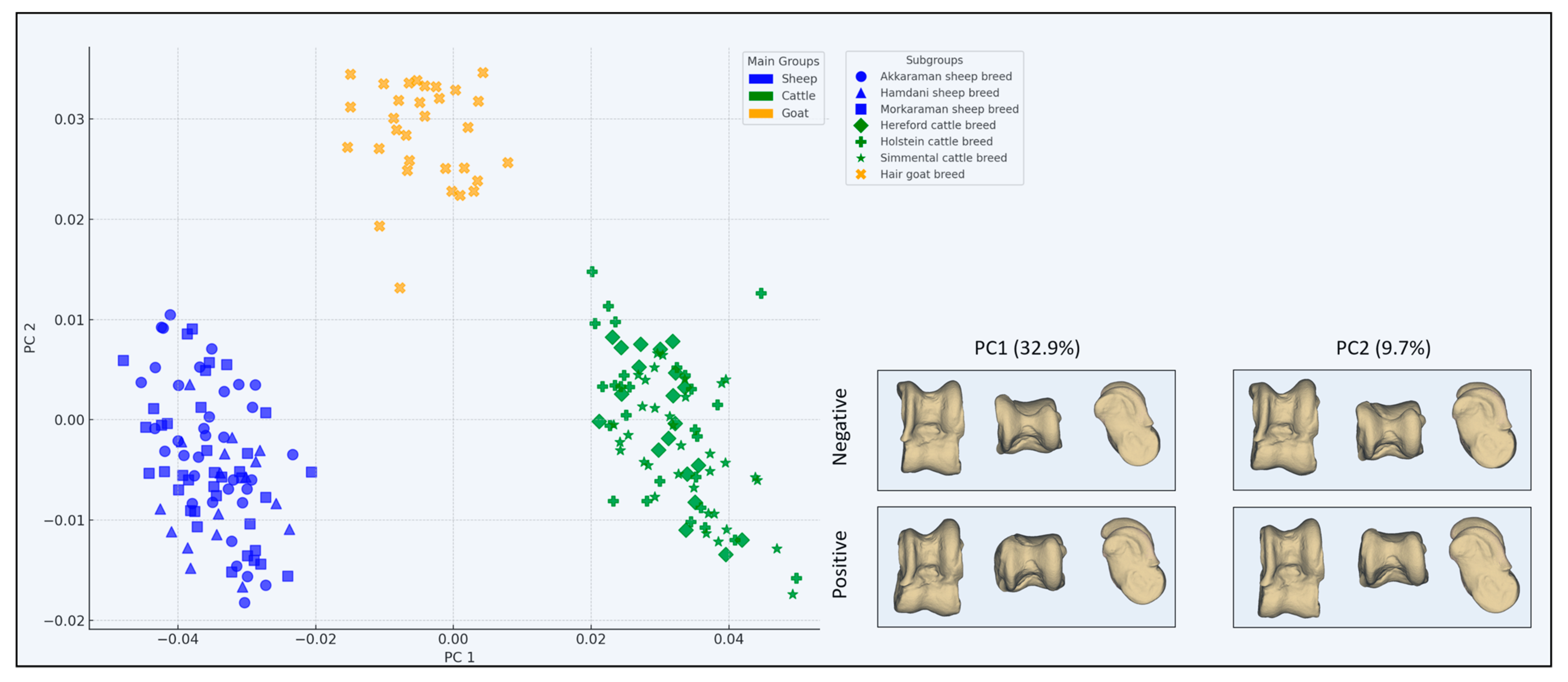 Animals 15 00425 g002