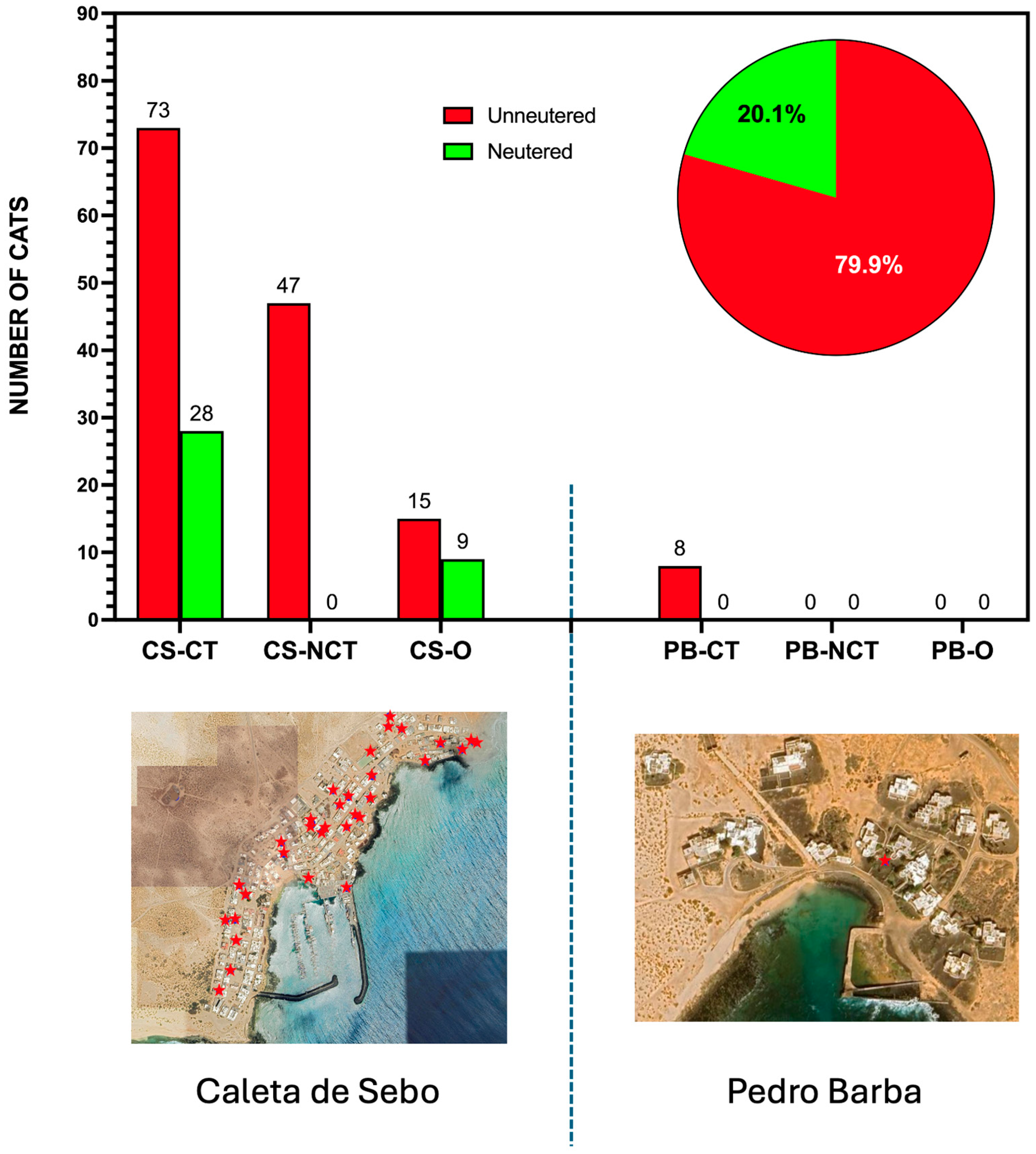 Animals 15 00429 g003