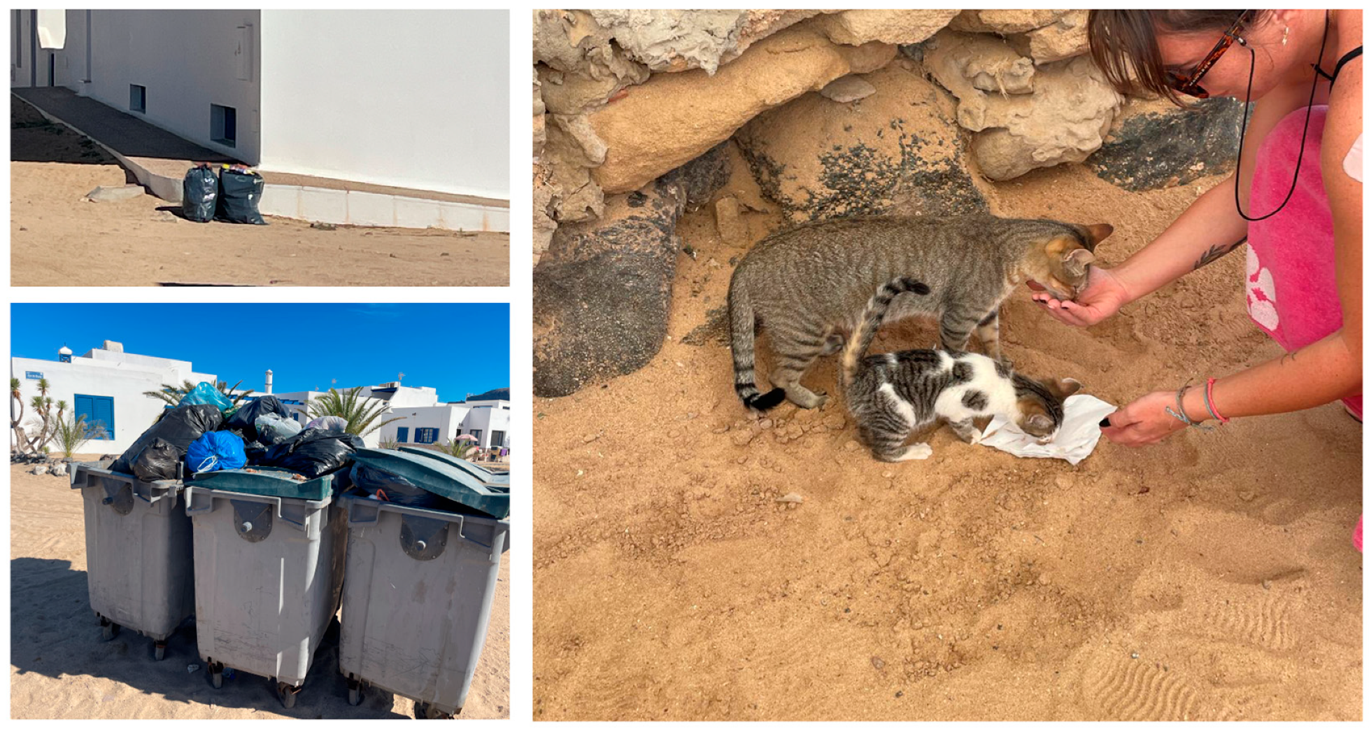 Animals 15 00429 g010