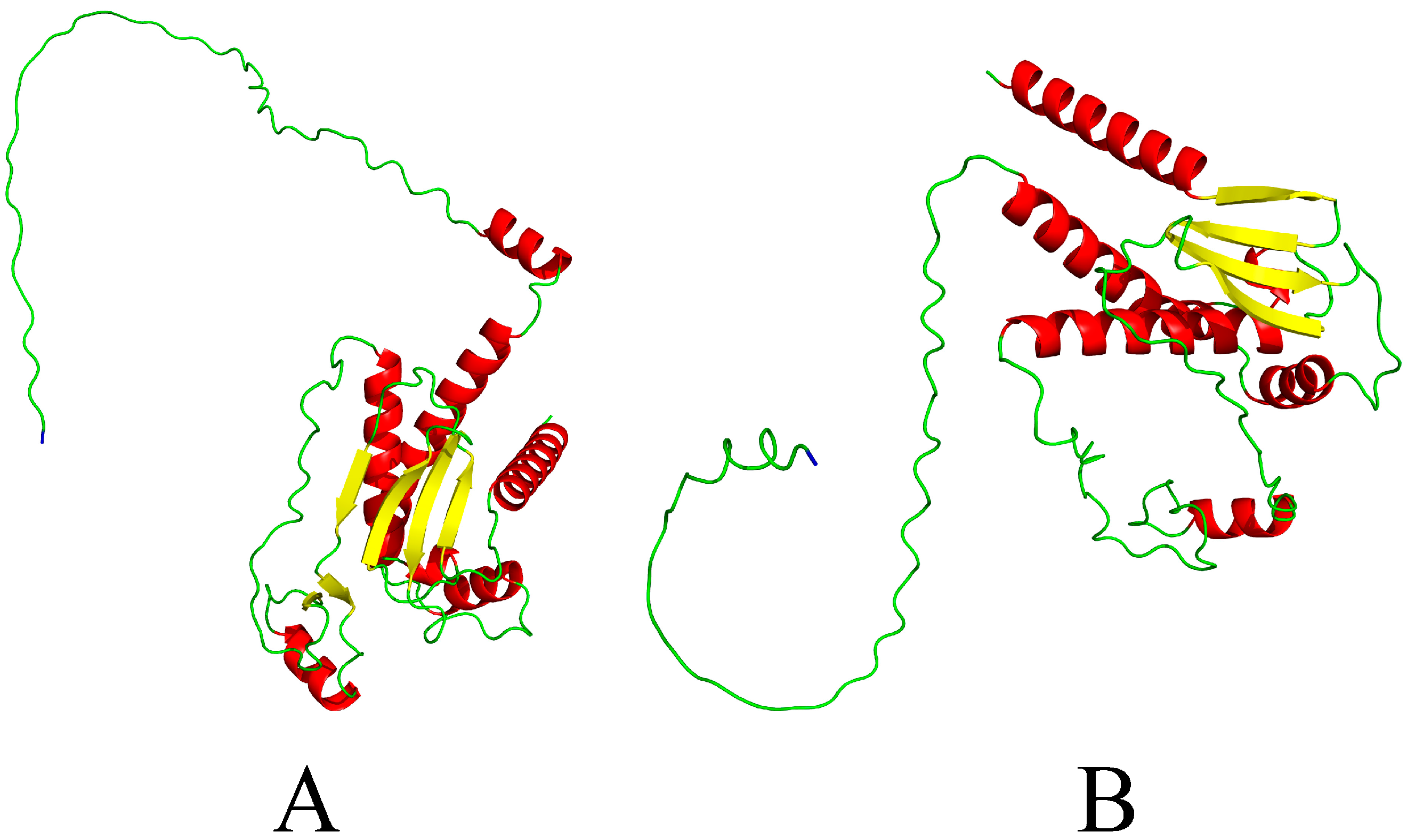 Animals 15 00430 g002