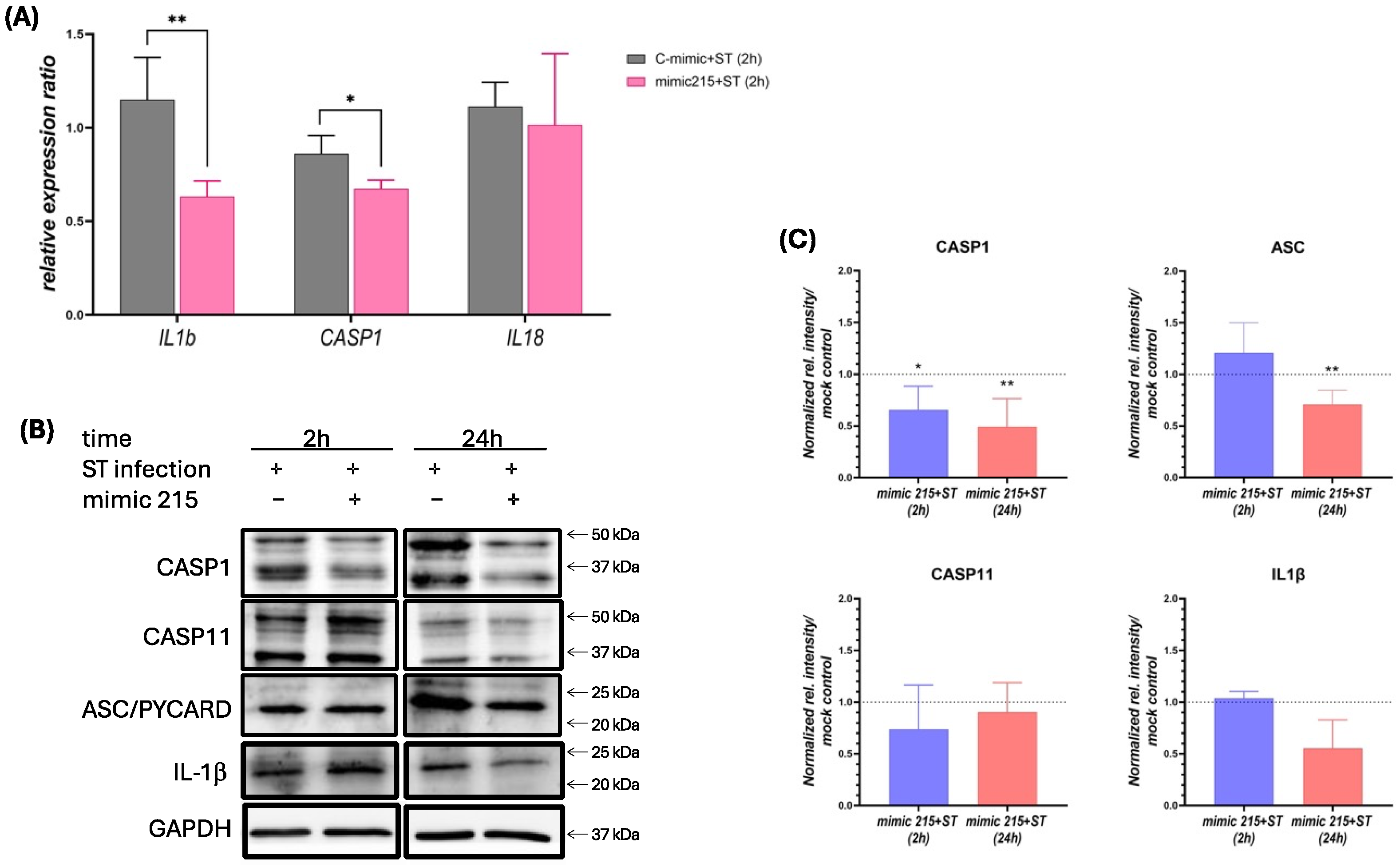 Animals 15 00431 g003 Animals 15 00431 g003