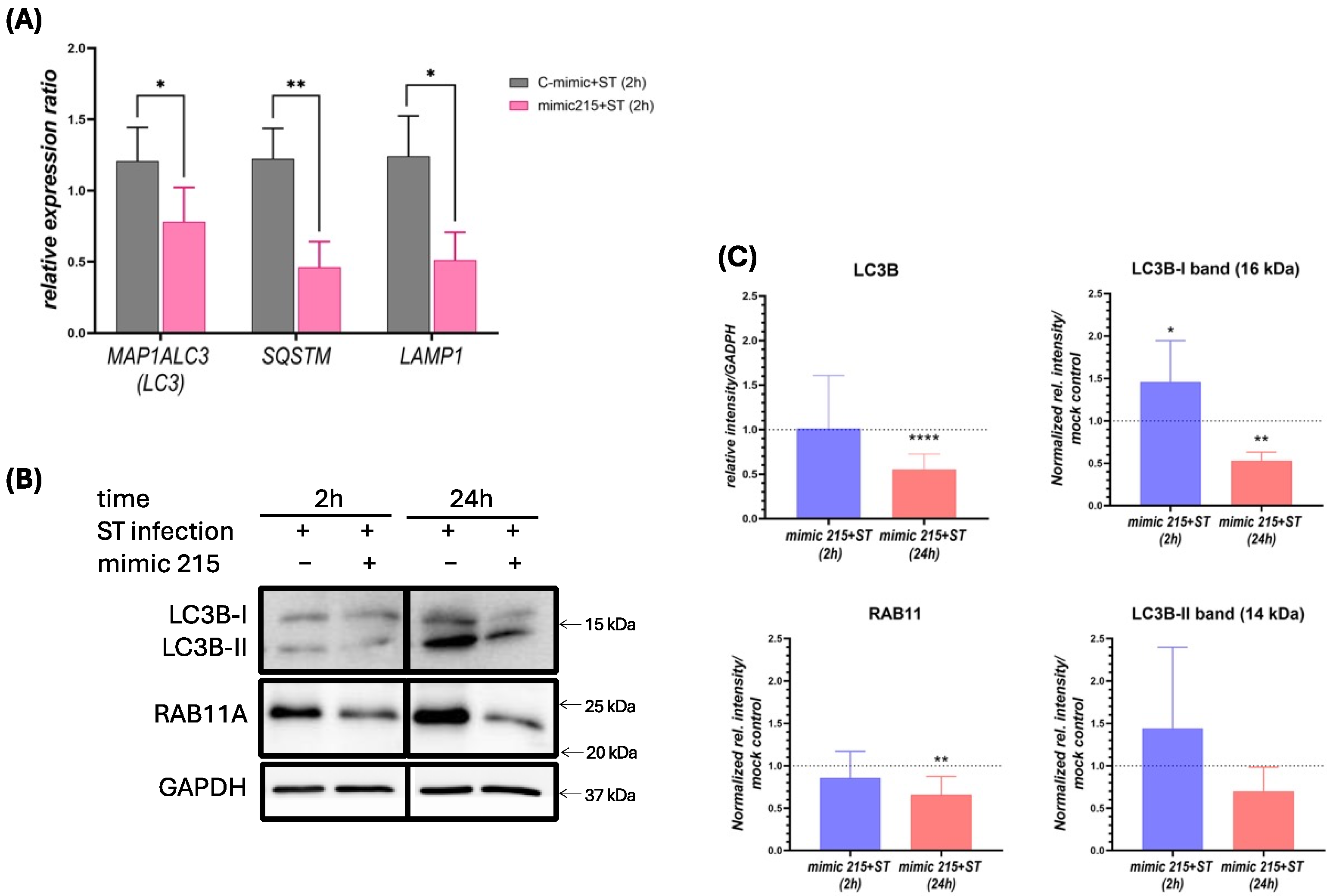 Animals 15 00431 g004 Animals 15 00431 g004