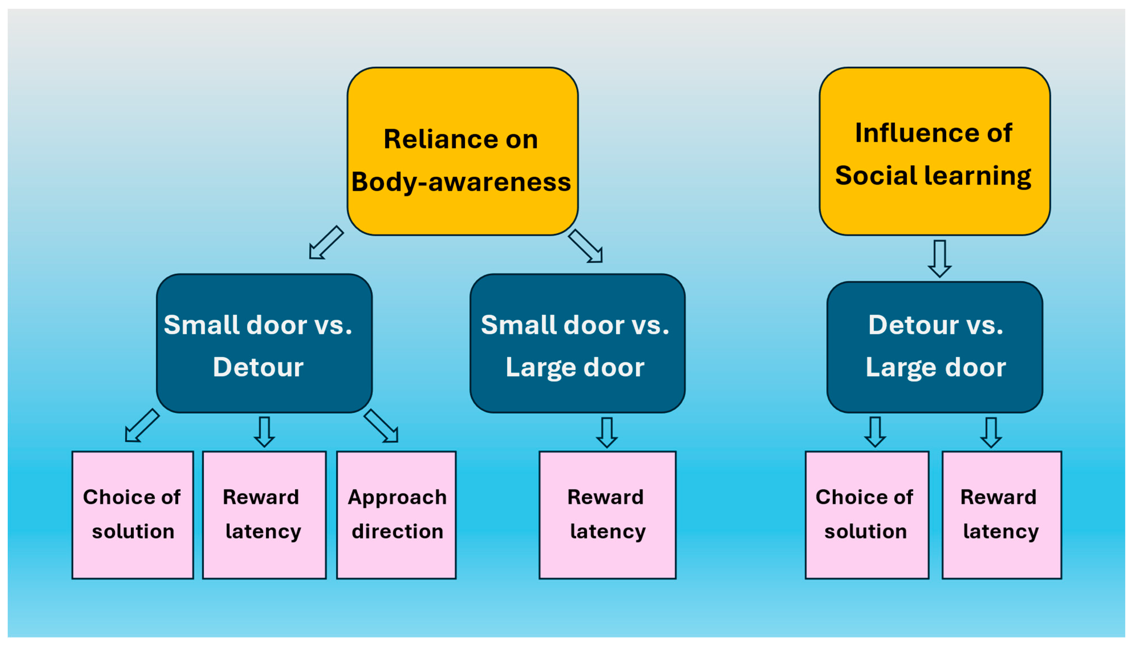 Animals 15 00432 g001