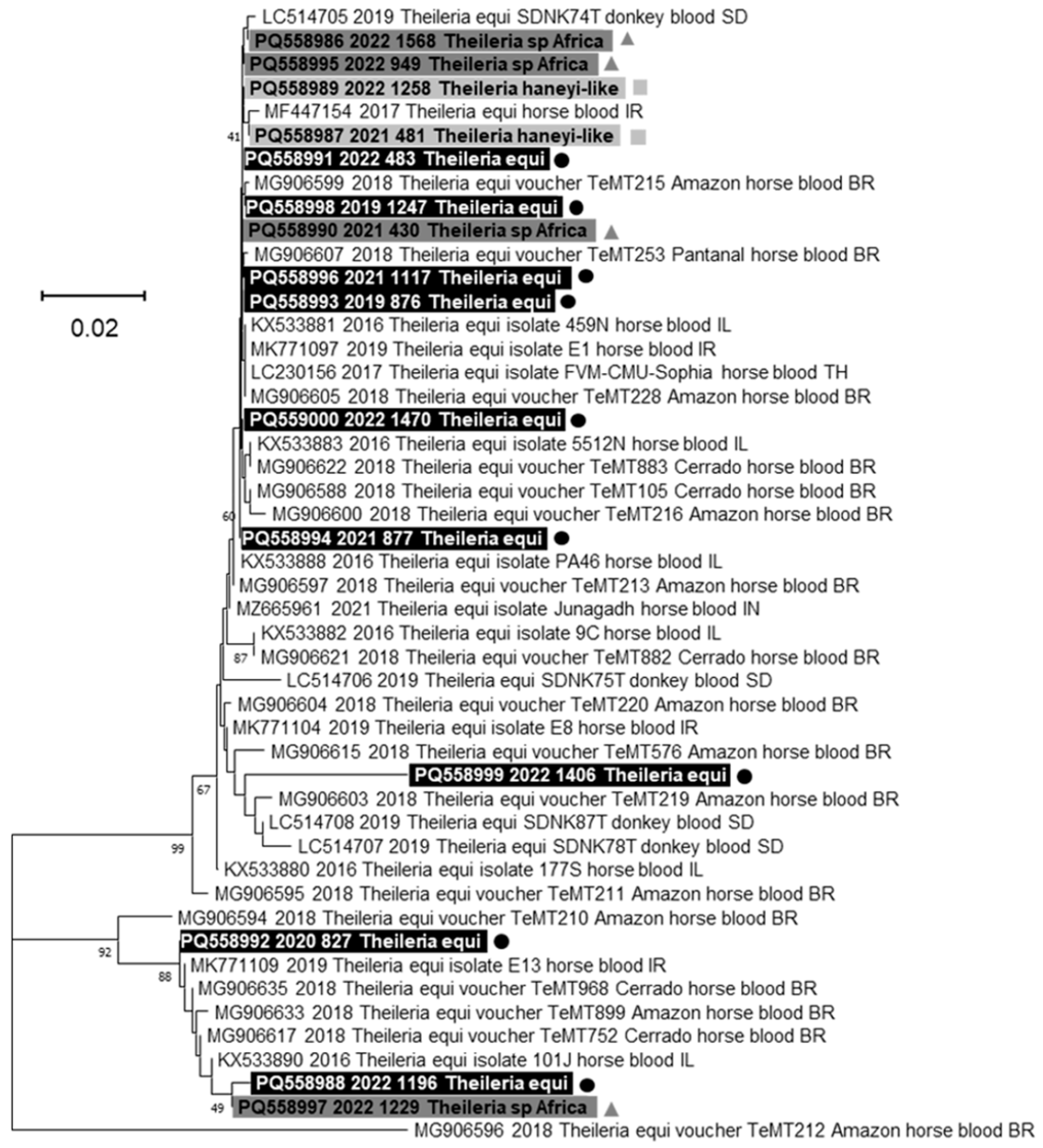 Animals 15 00437 g004