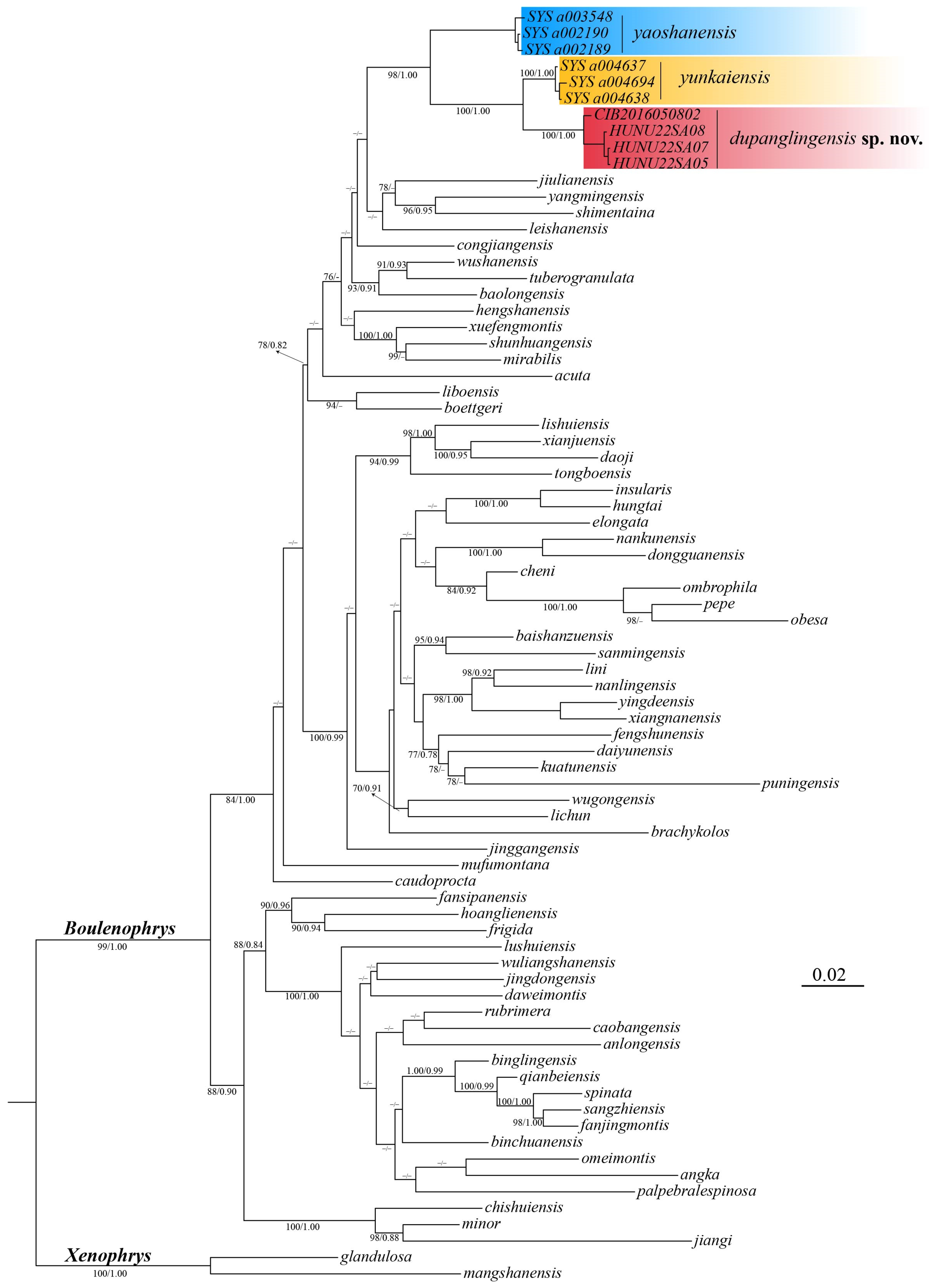 Animals 15 00440 g002