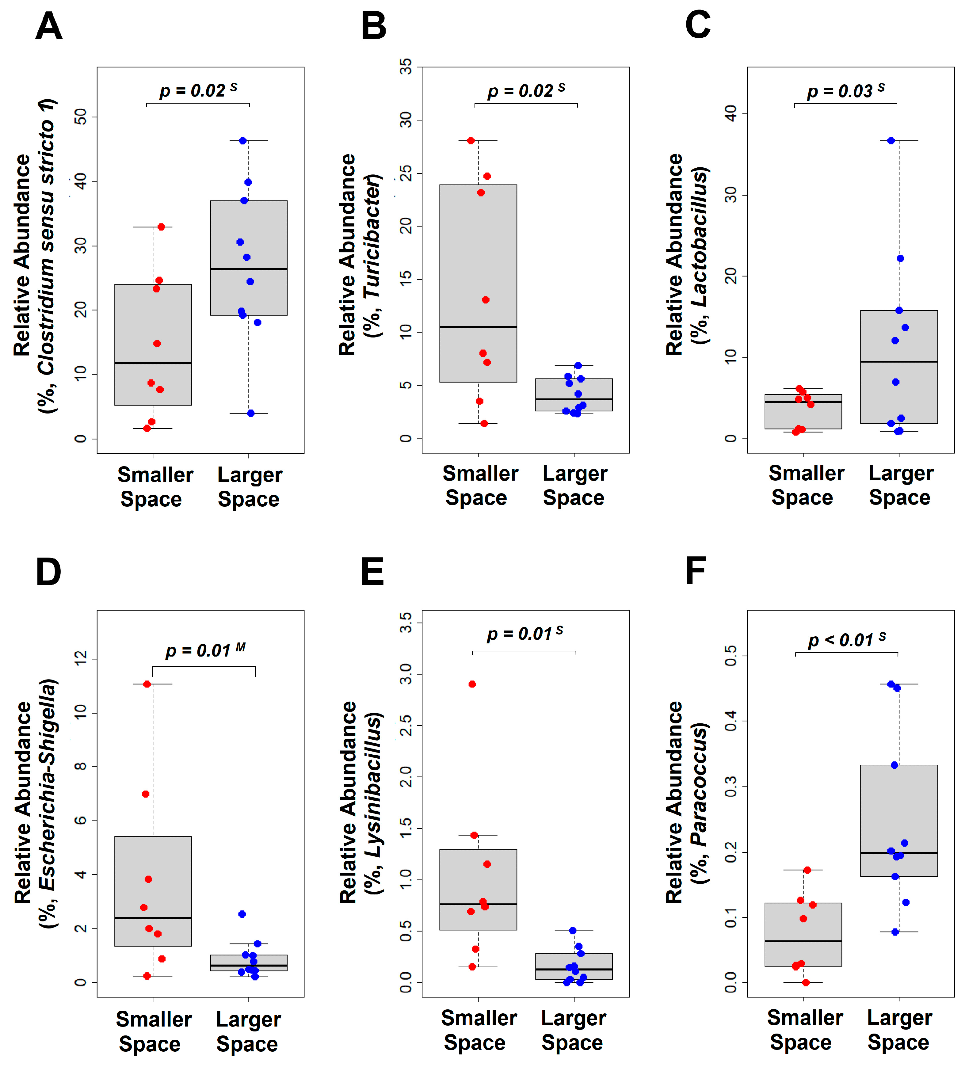 Animals 15 00441 g004