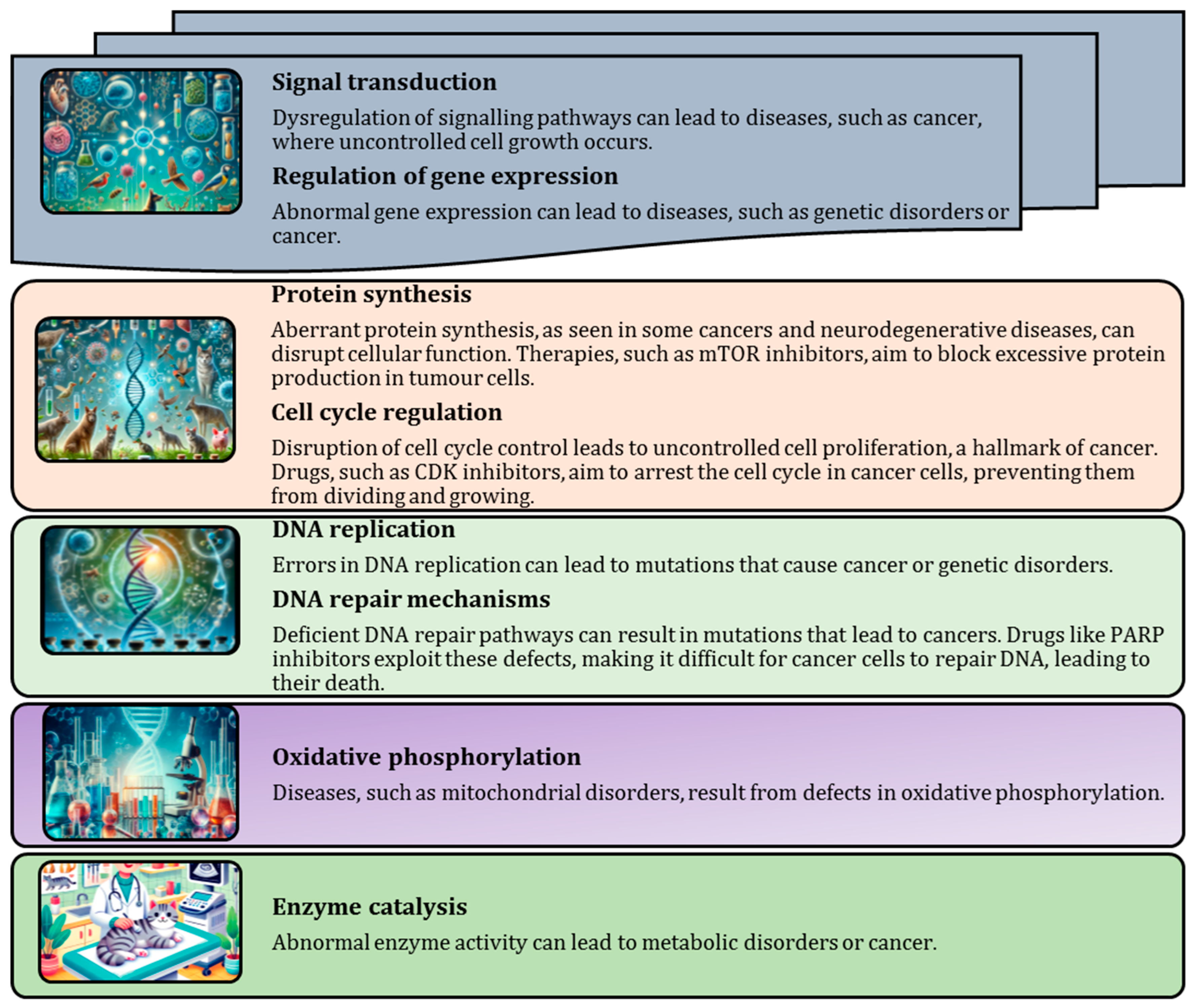 Animals 15 00444 g001