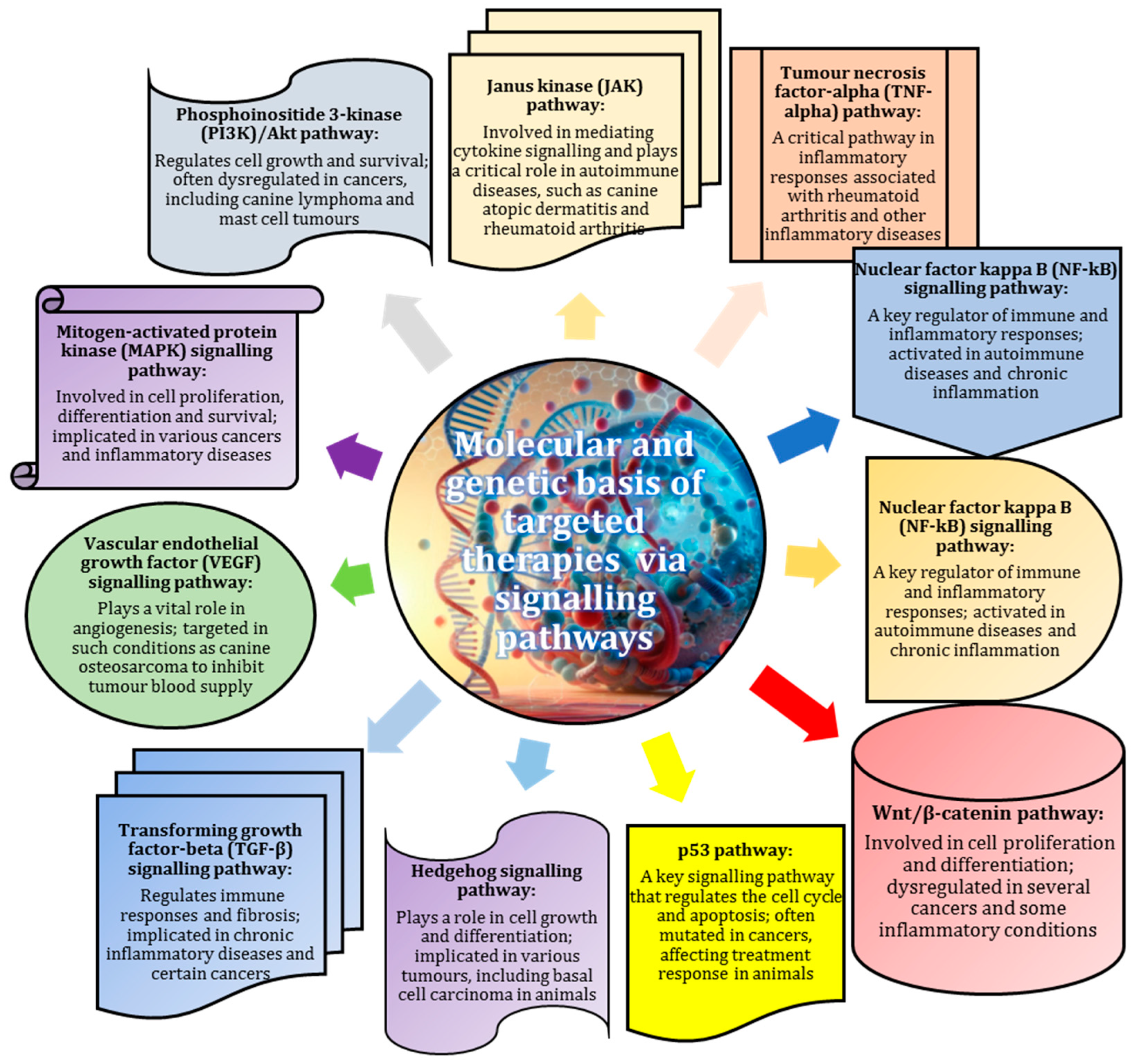 Animals 15 00444 g002