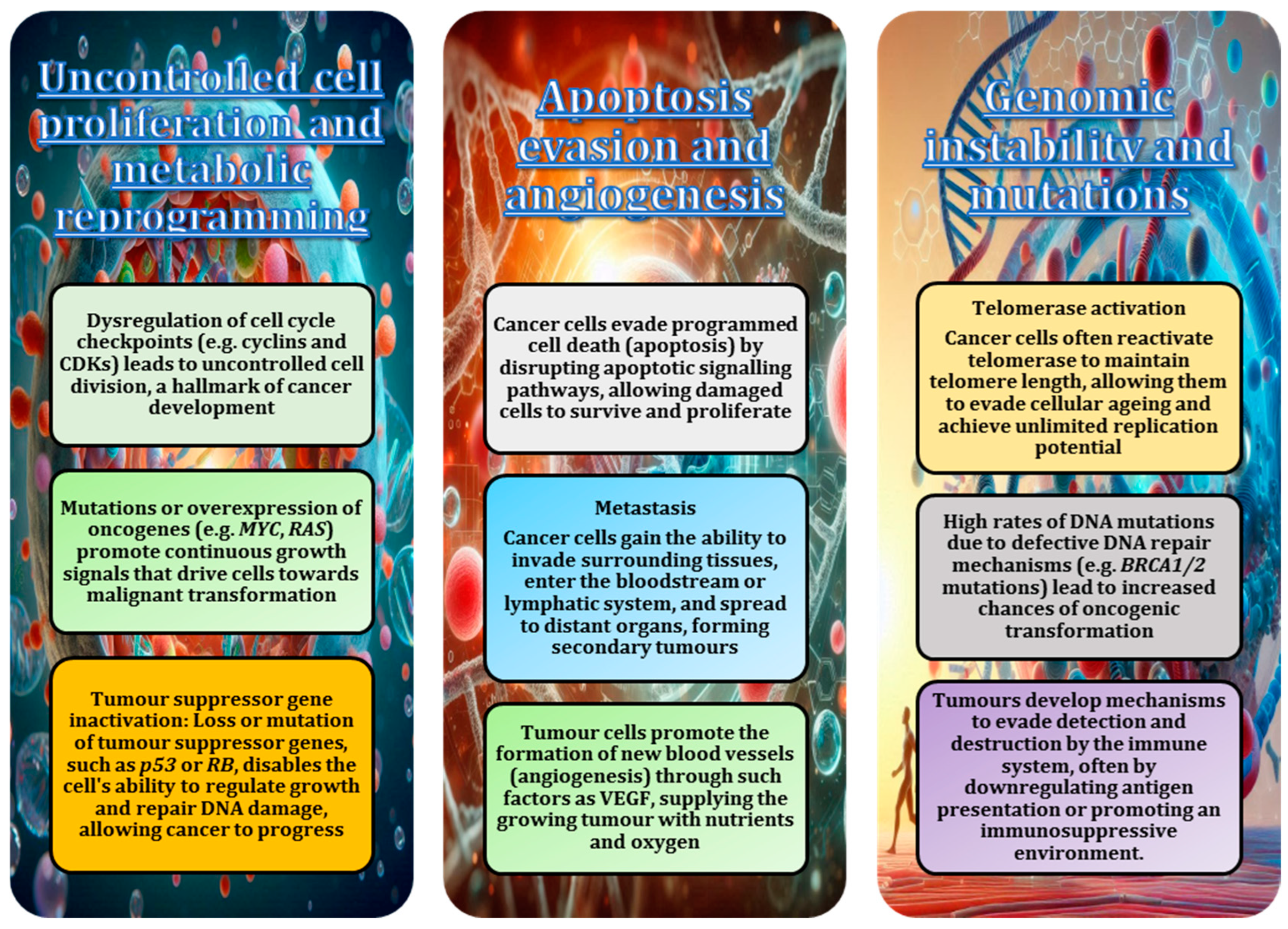 Animals 15 00444 g003