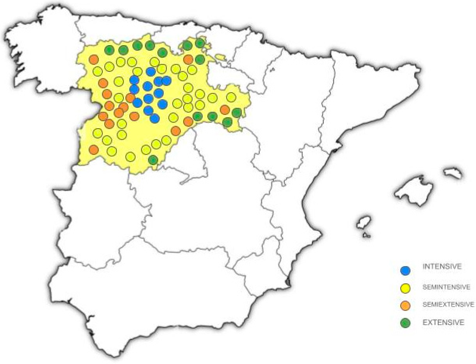 Animals 15 00448 g001