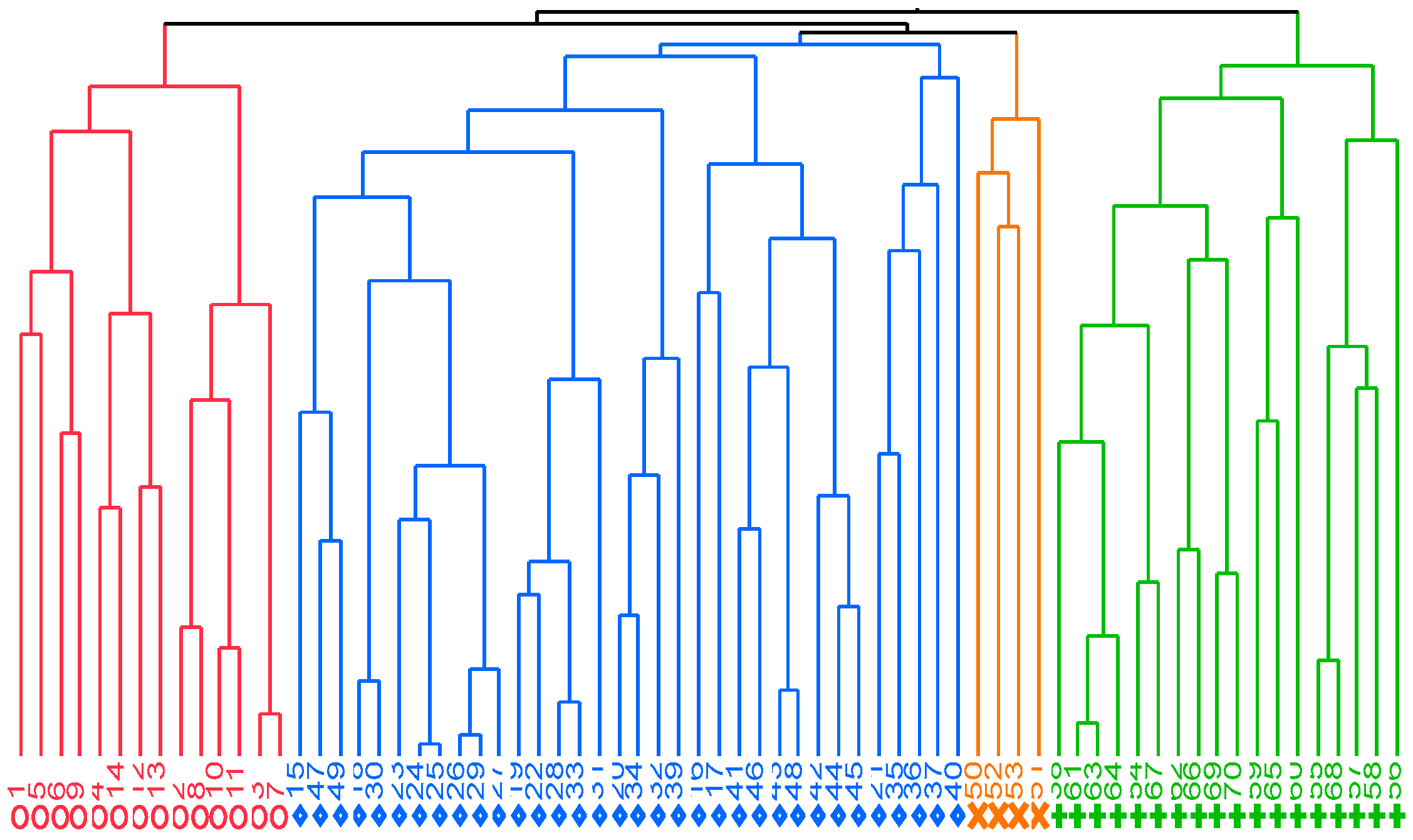 Animals 15 00448 g002